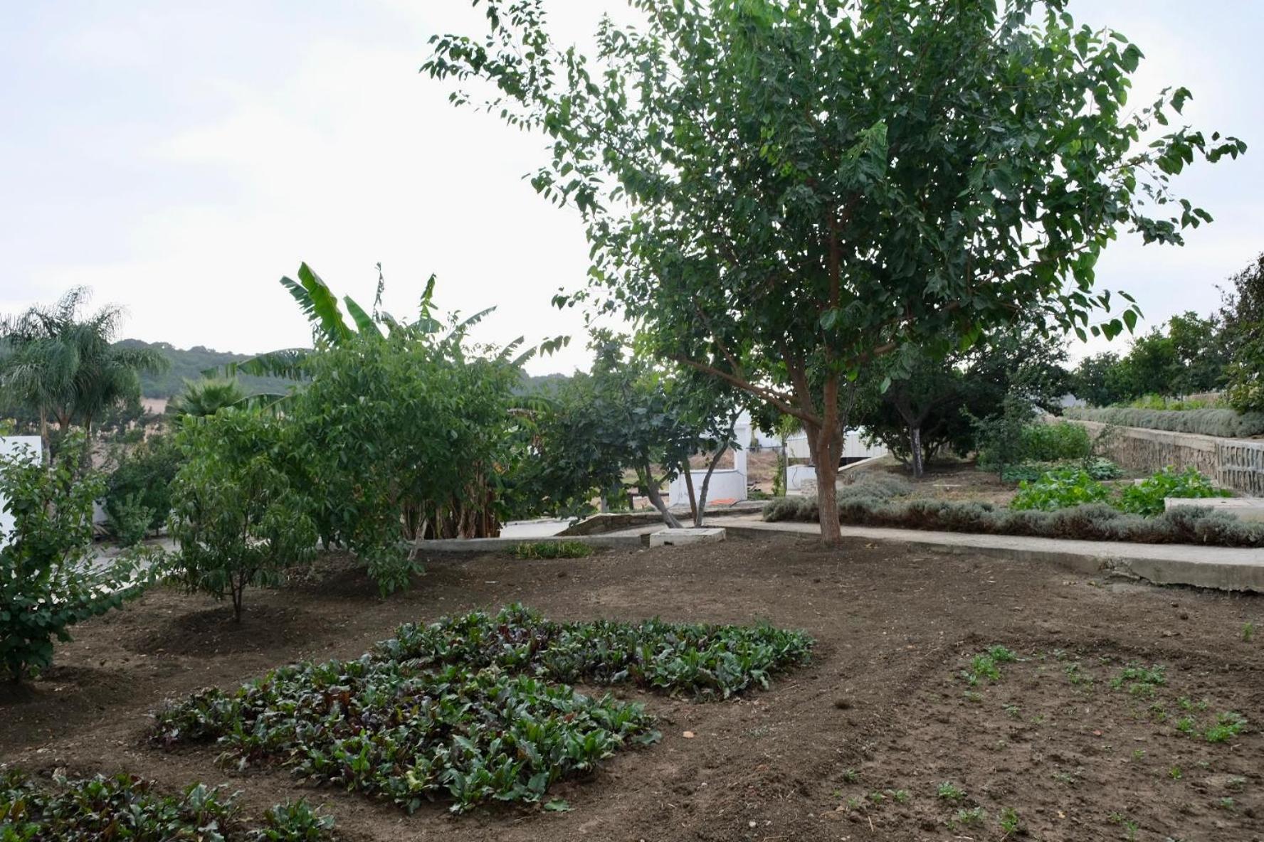 Studio with Garden View - Photo 2