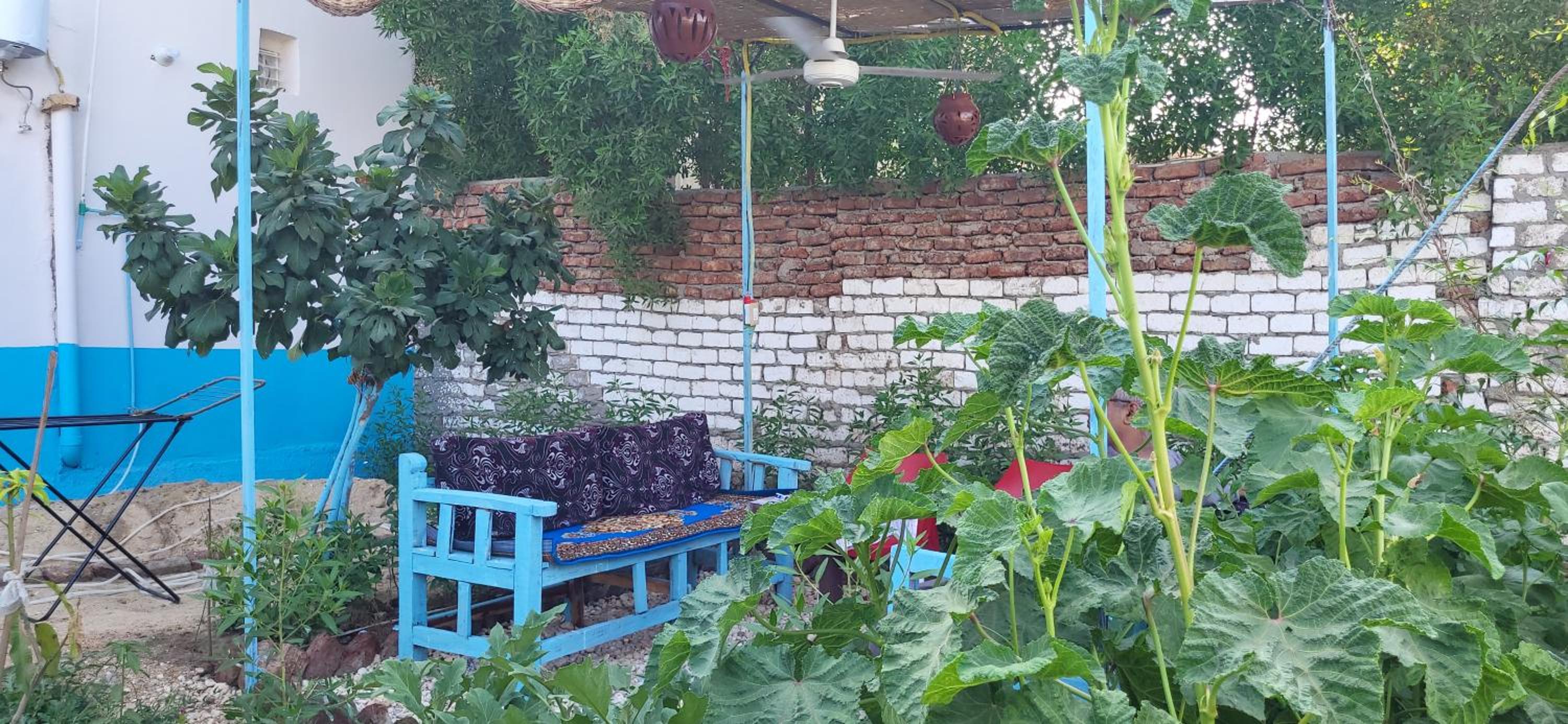 Apartment with Garden View photo 3