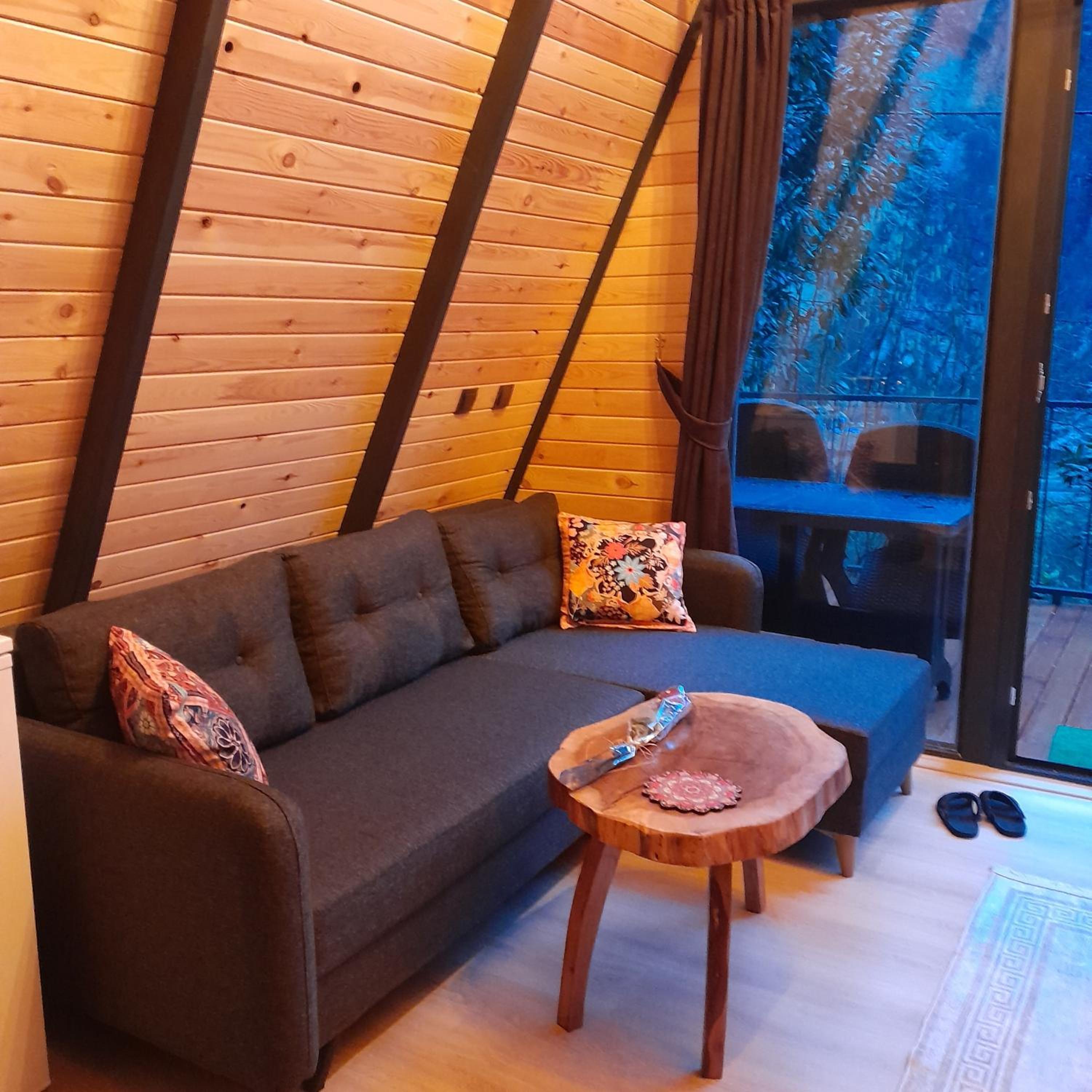 Vacation Home photo 1