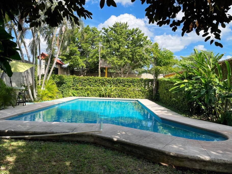 Standard Villa photo 3