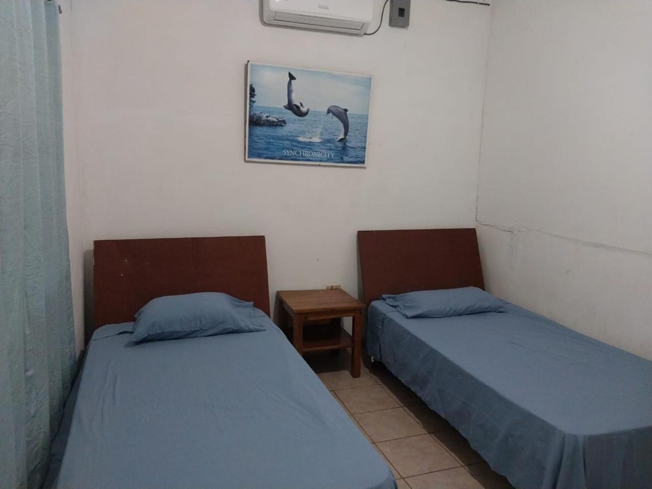 Twin Room photo 3