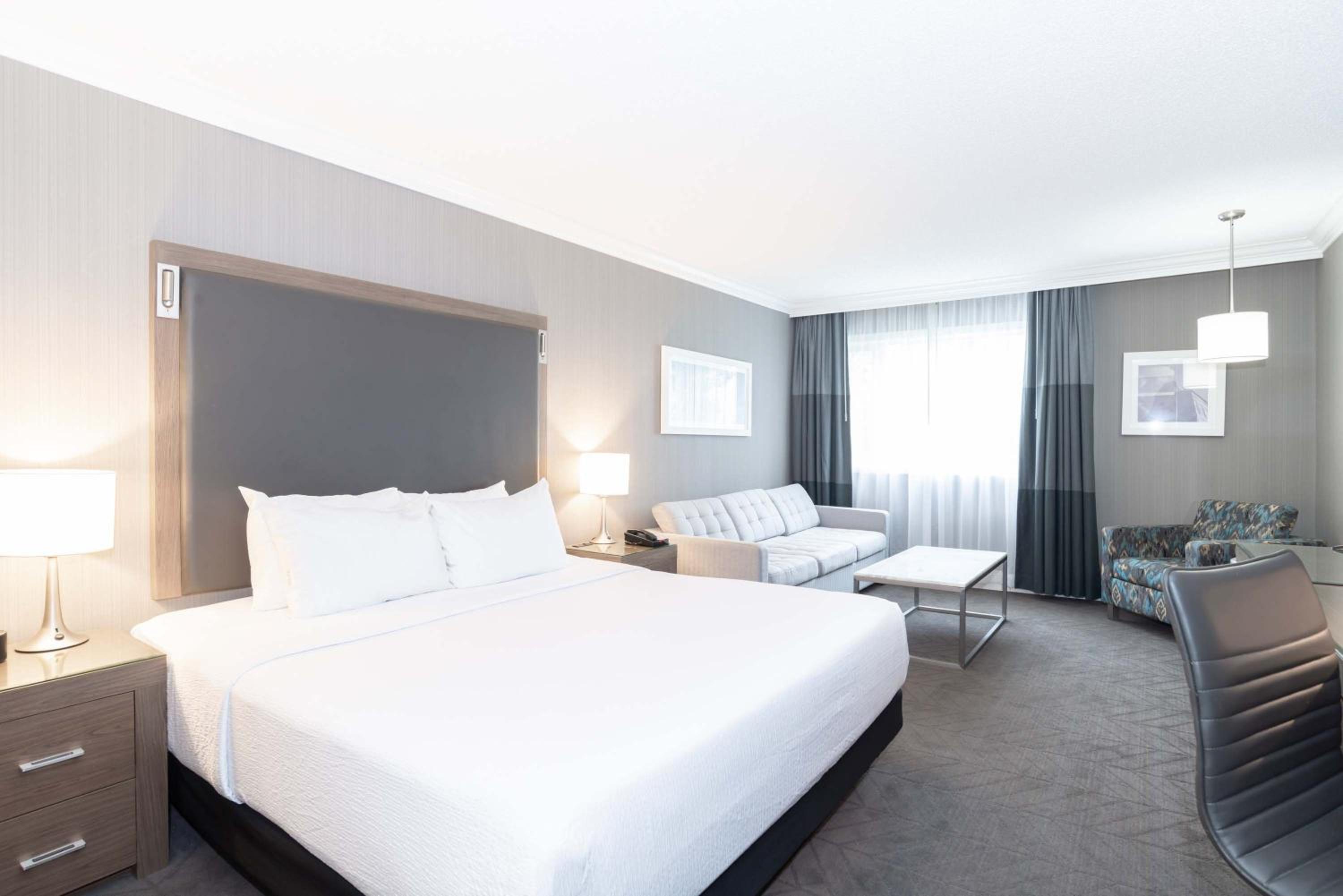 Standard Room, 1 King Bed, Sofa Bed