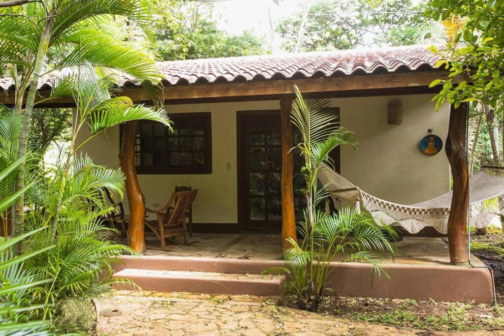 One-Bedroom House photo 2