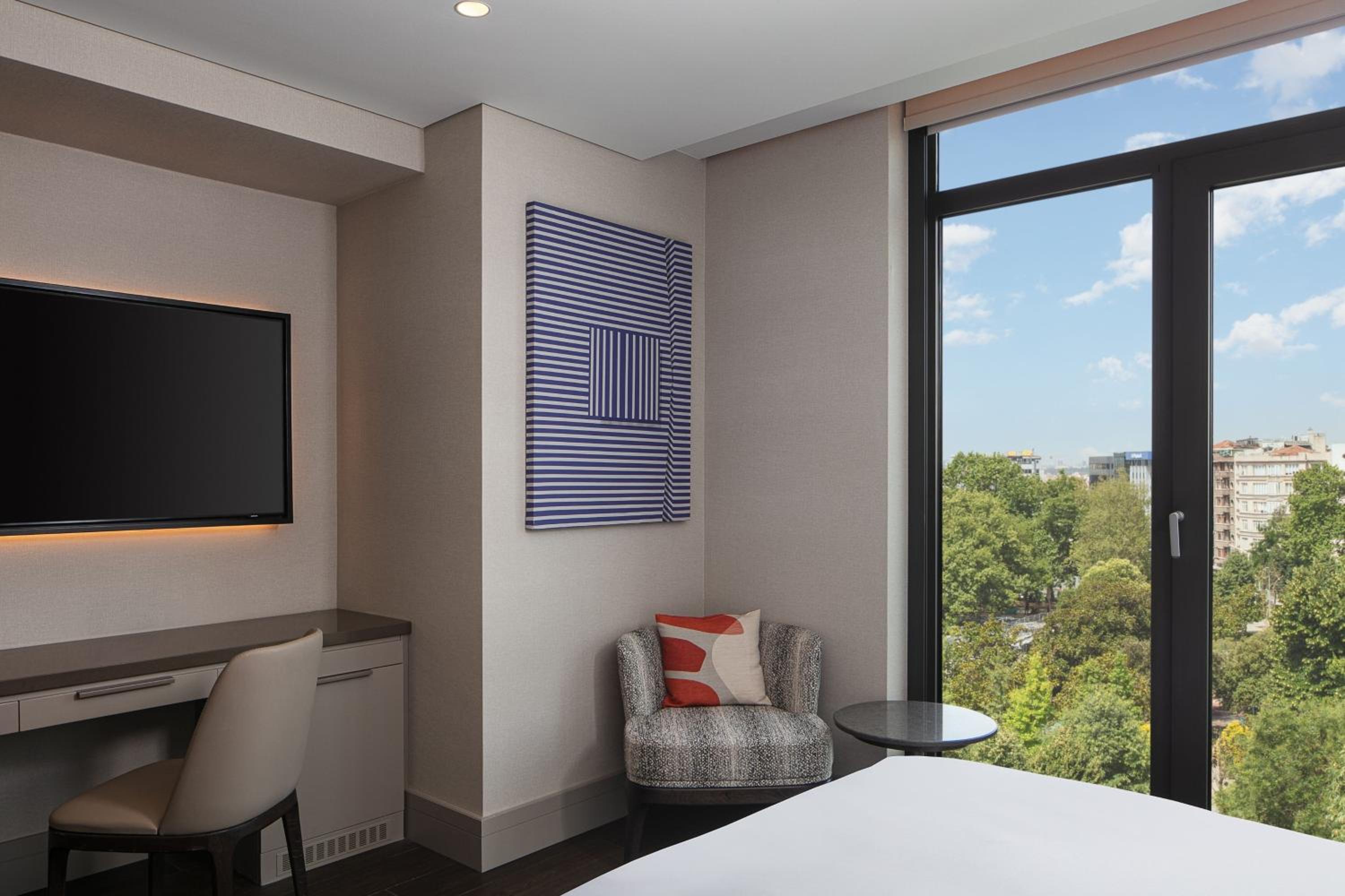 Deluxe King Room with Park View
