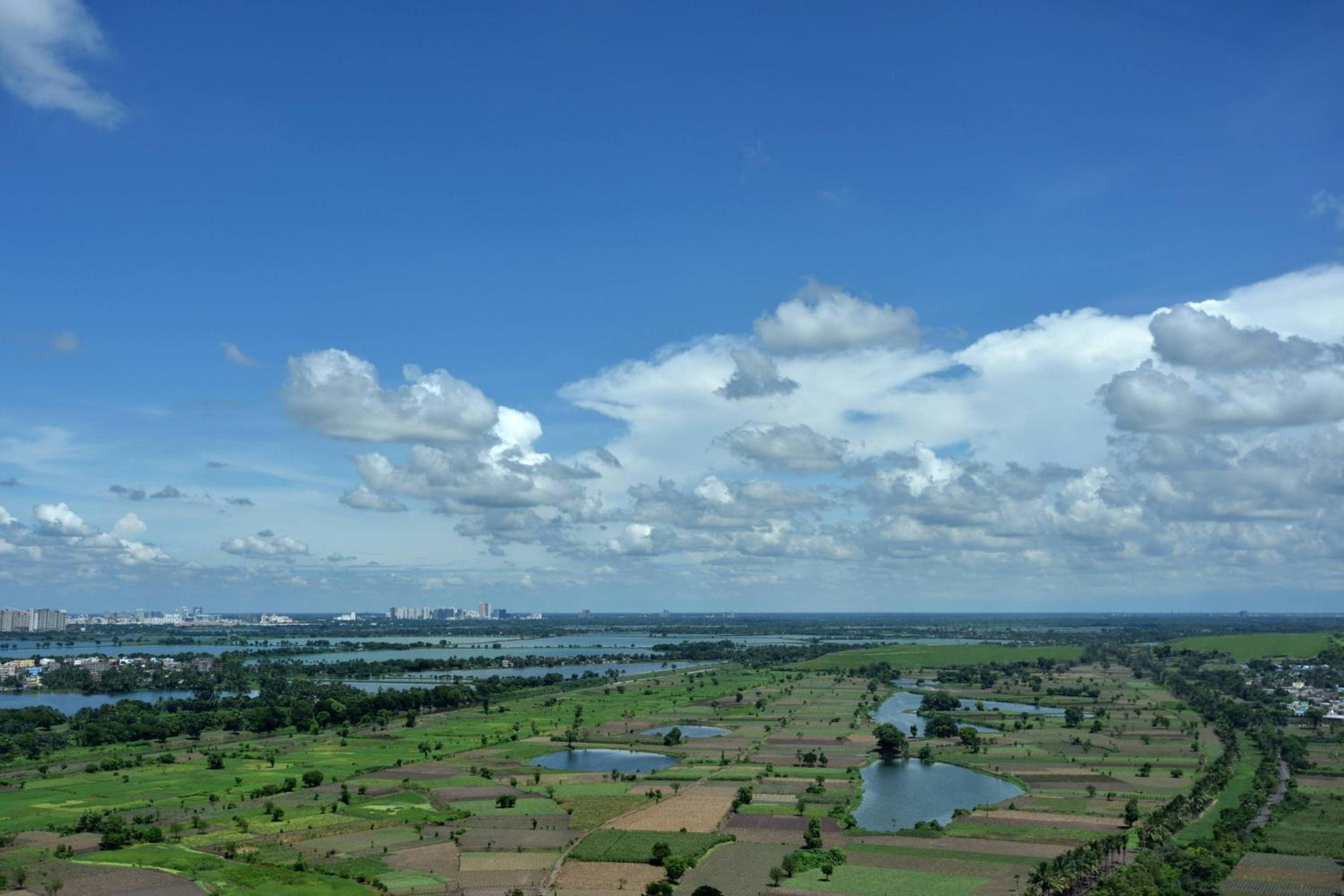 Executive Suite with Executive Lounge Access & Two way Airport Transfer
