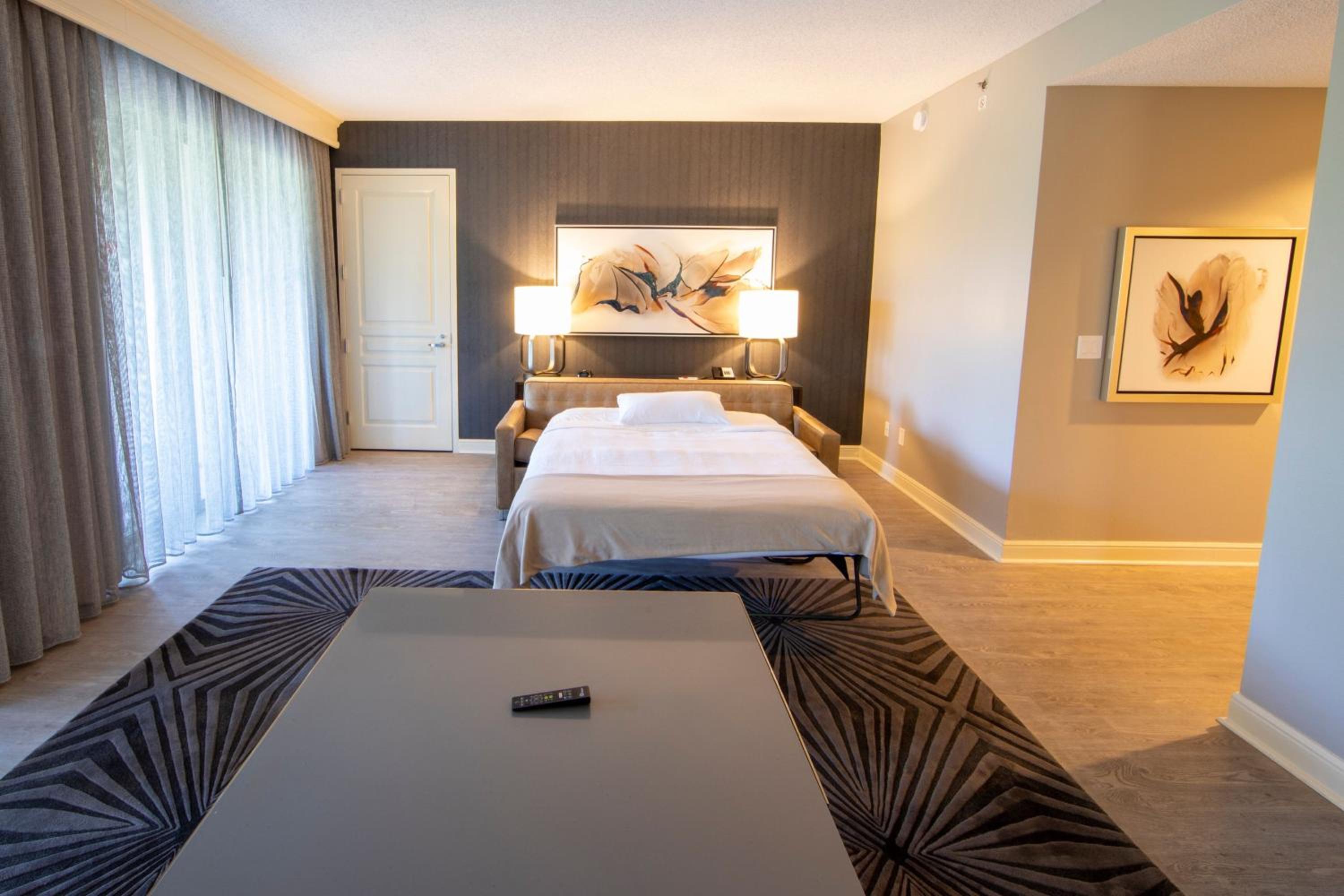 One-Bedroom King Studio Suite with Sofa Bed - Photo 2