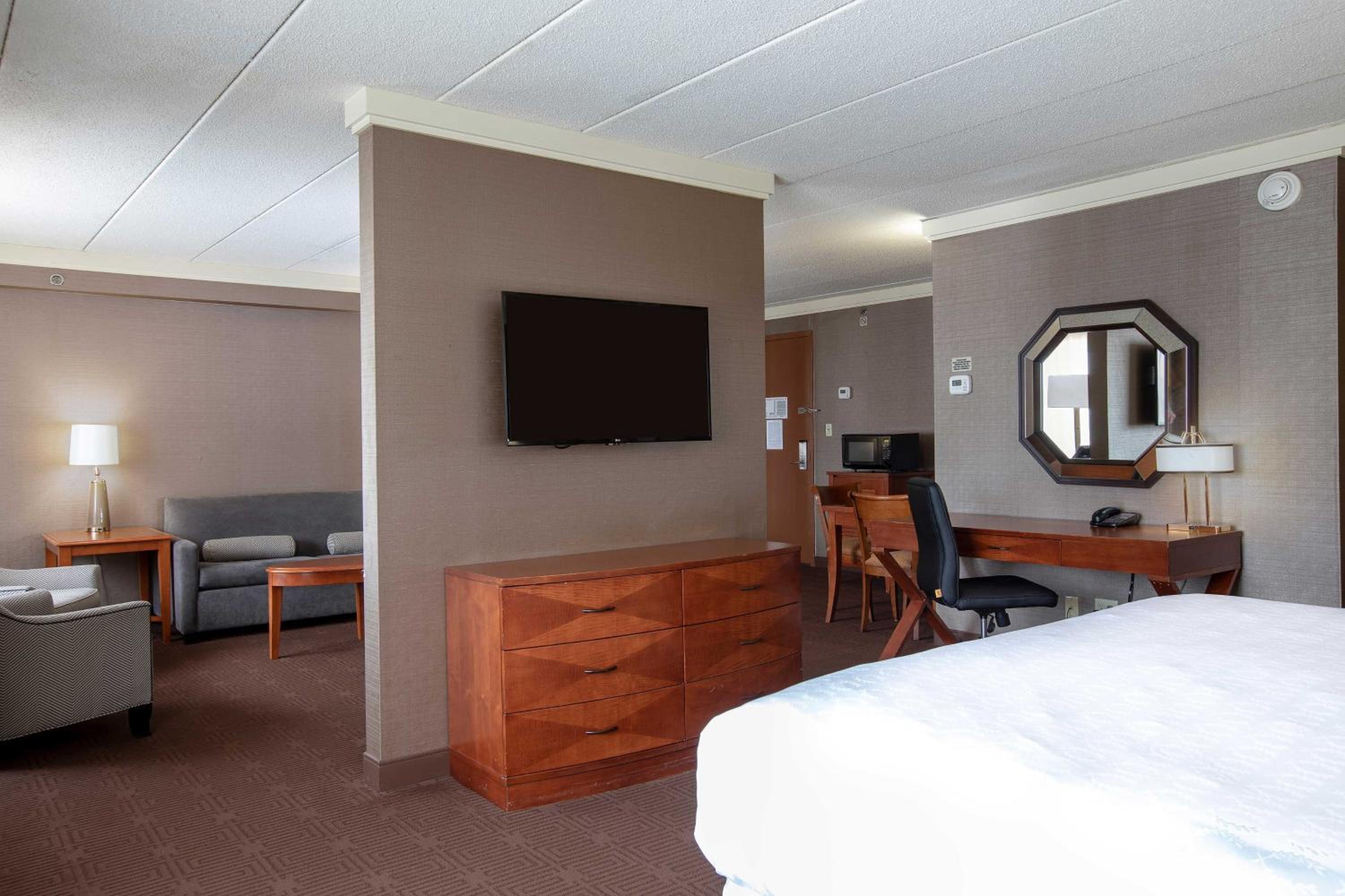 Concierge level, Suite, 1 King - Photo 4