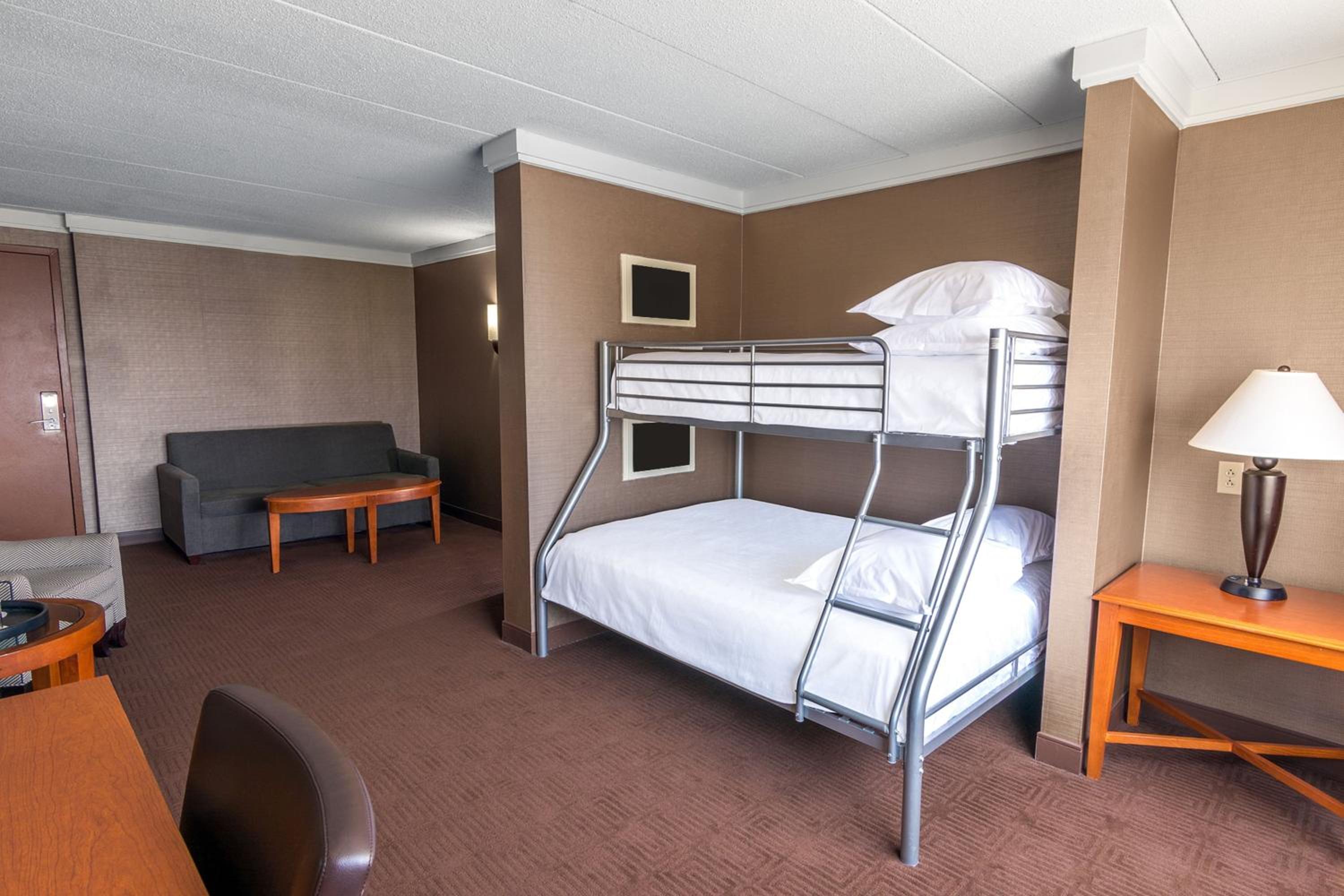 Suite, 1 King bunk or 2 Queen, Sofa bed photo 3