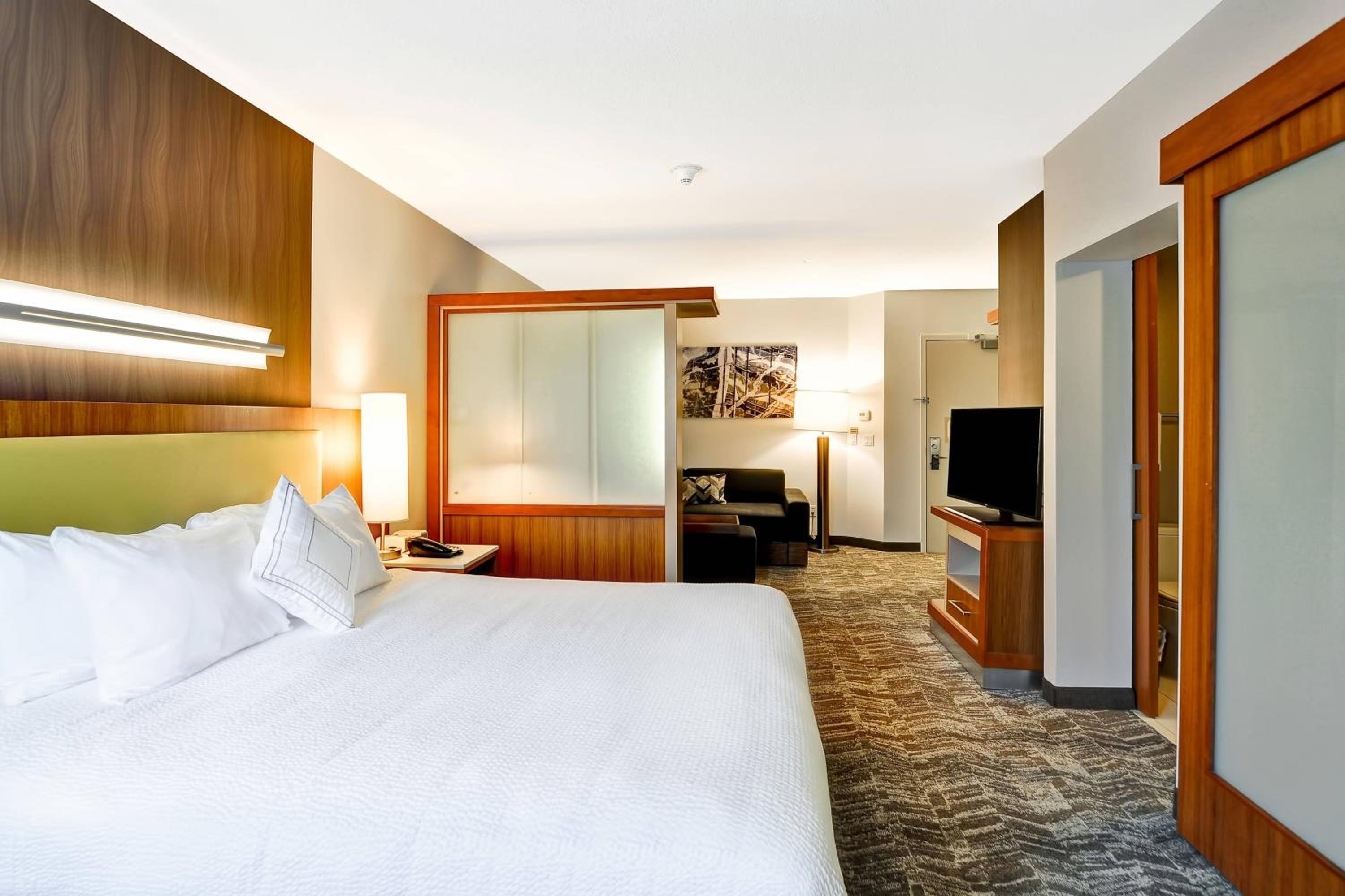 King Suite with Transfer Shower, Bathtub and Trundle Sofa - Mobility Access/Hearing Accessible - Photo 1