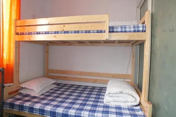 Single Bed in Mixed Dormitory Room photo 2