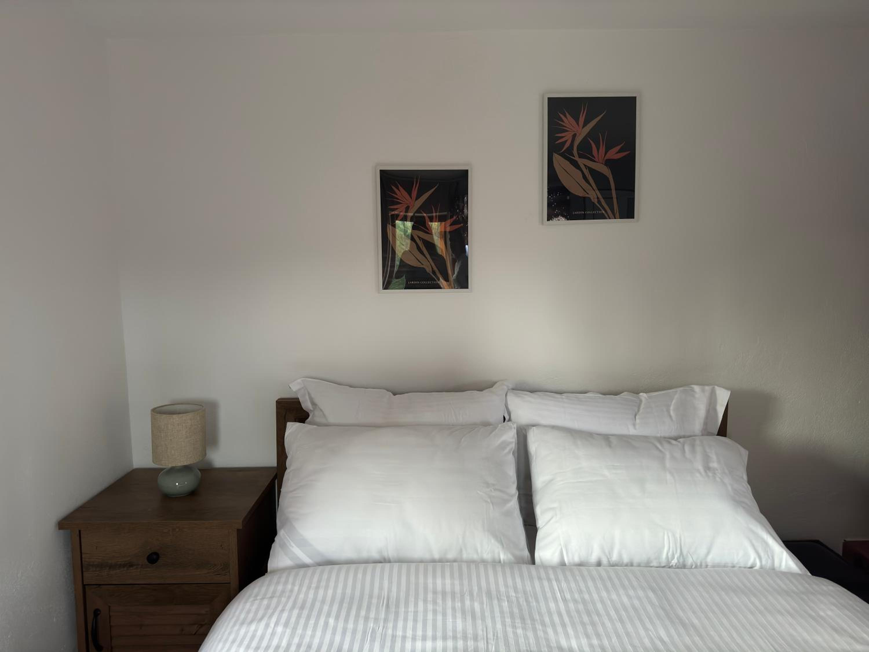 One-Bedroom House photo 1