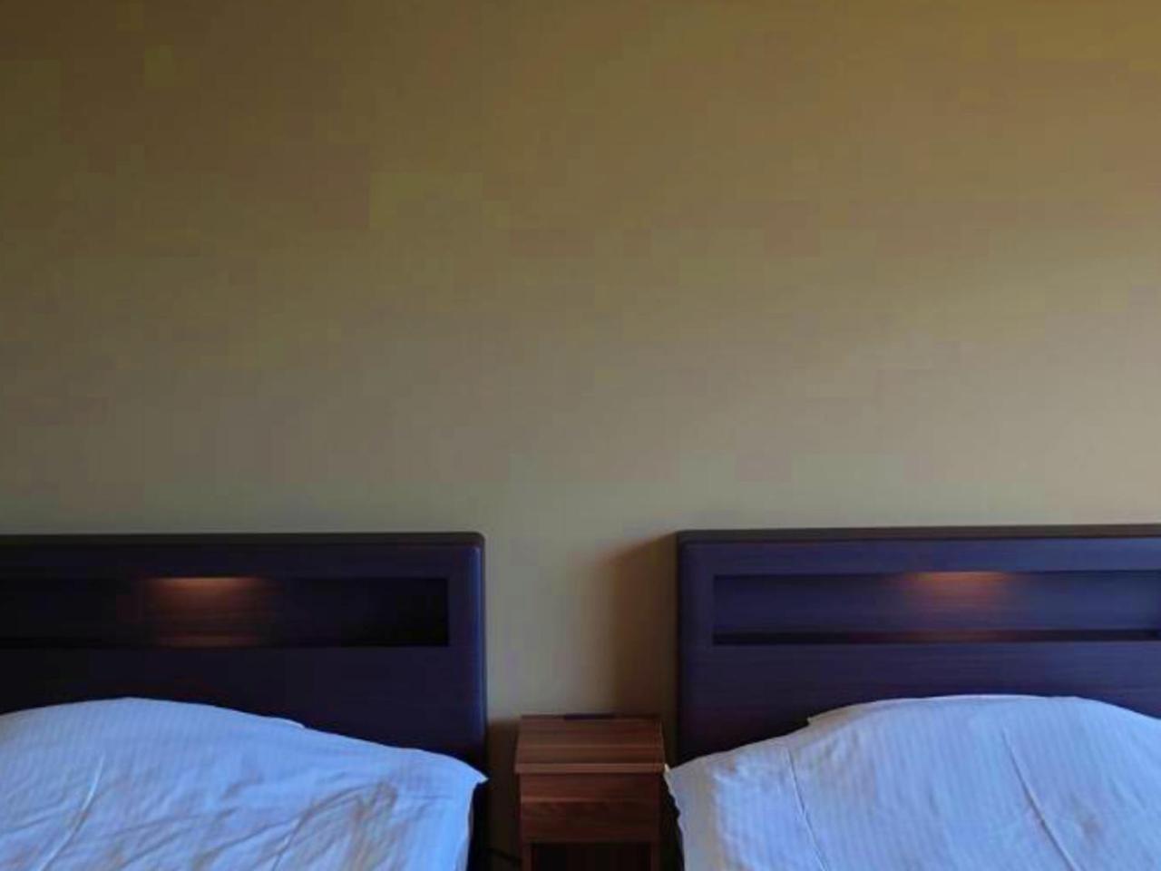 Standard Twin Room with Mountain View - Photo 17