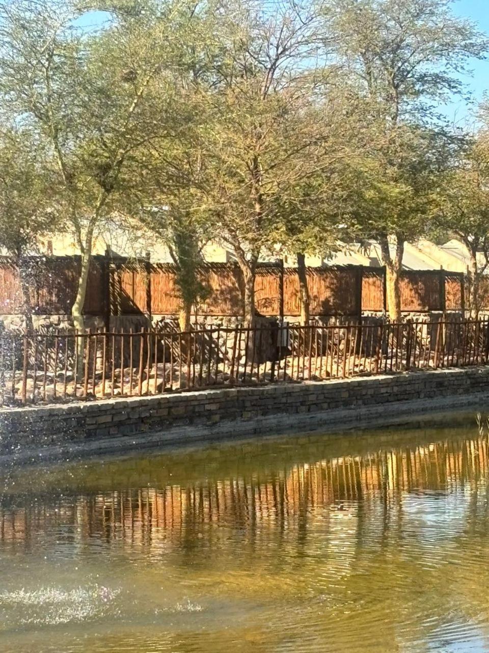 Twin Room With Lake View photo 3