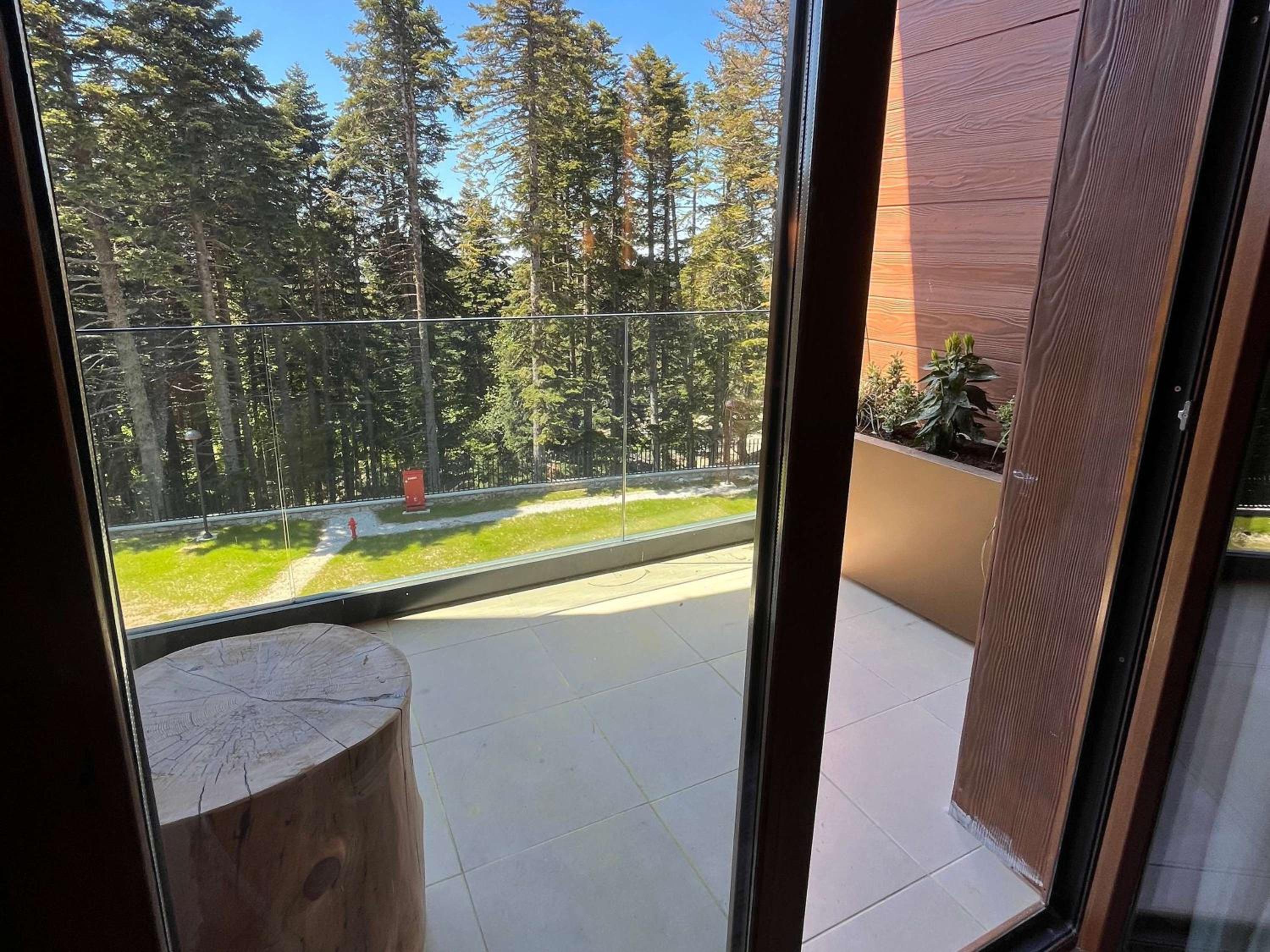 Swiss Executive King Room with Forest View - Photo 3