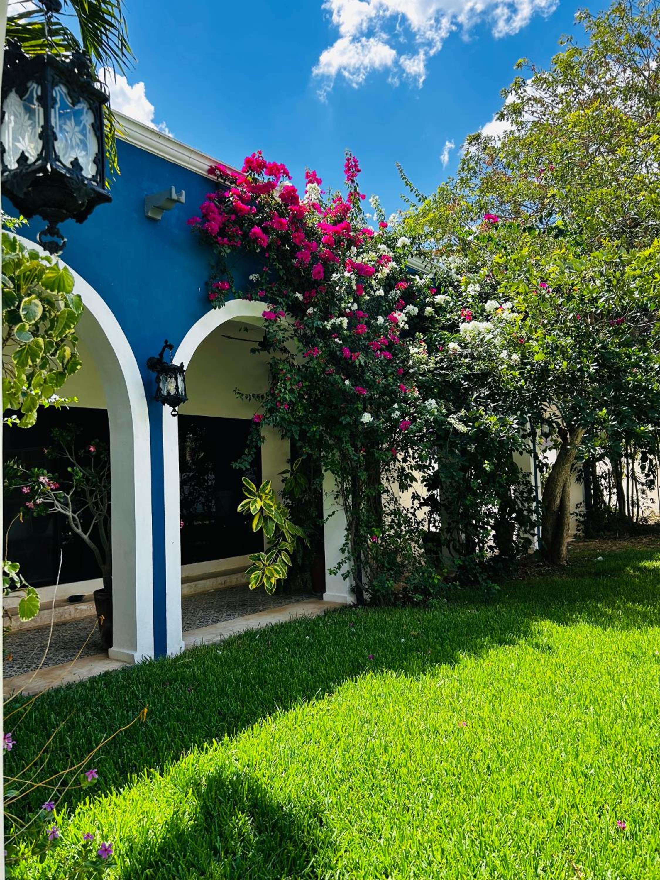 Three-Bedroom Villa photo 2