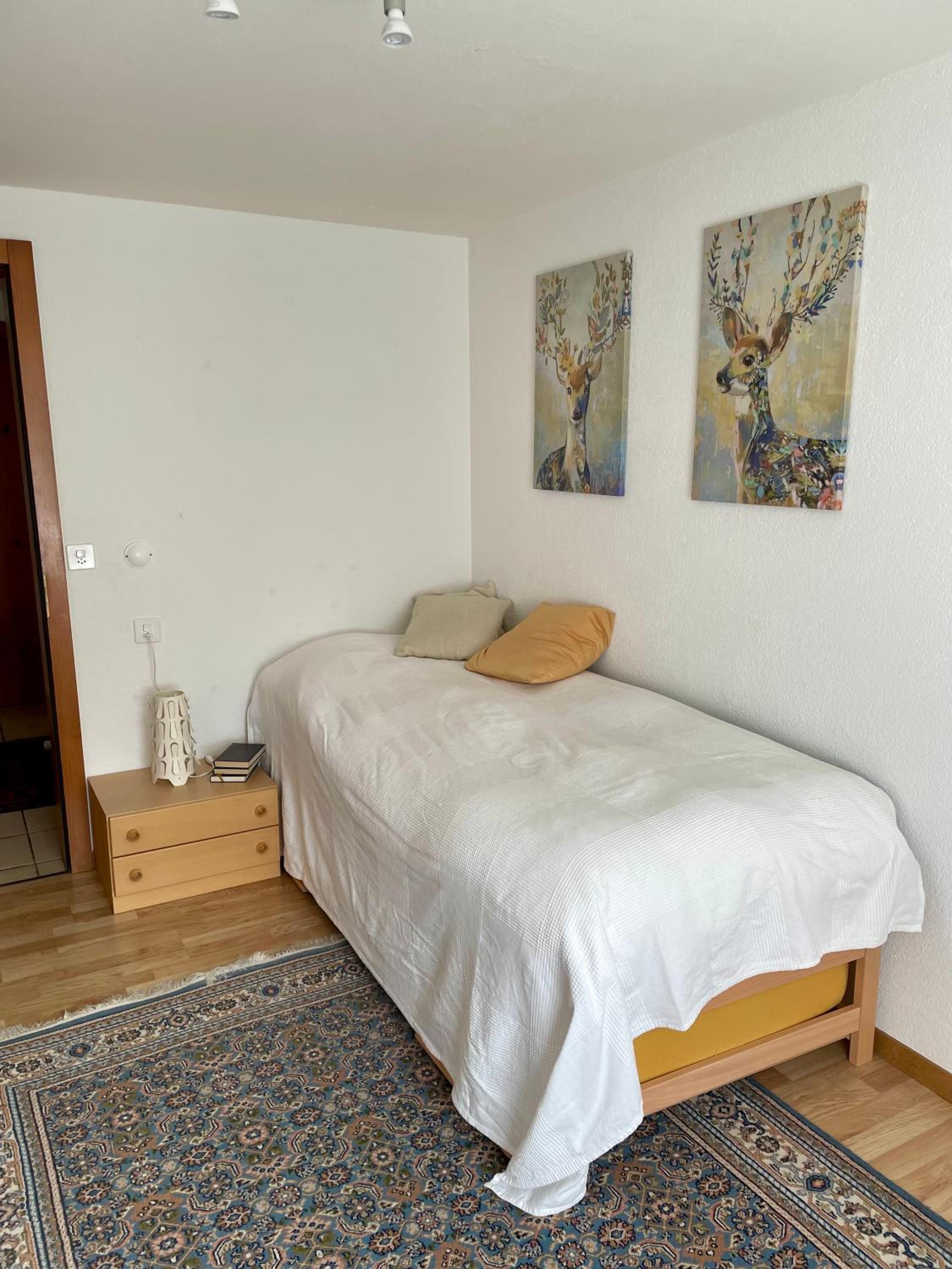 Three-Bedroom Apartment photo 1
