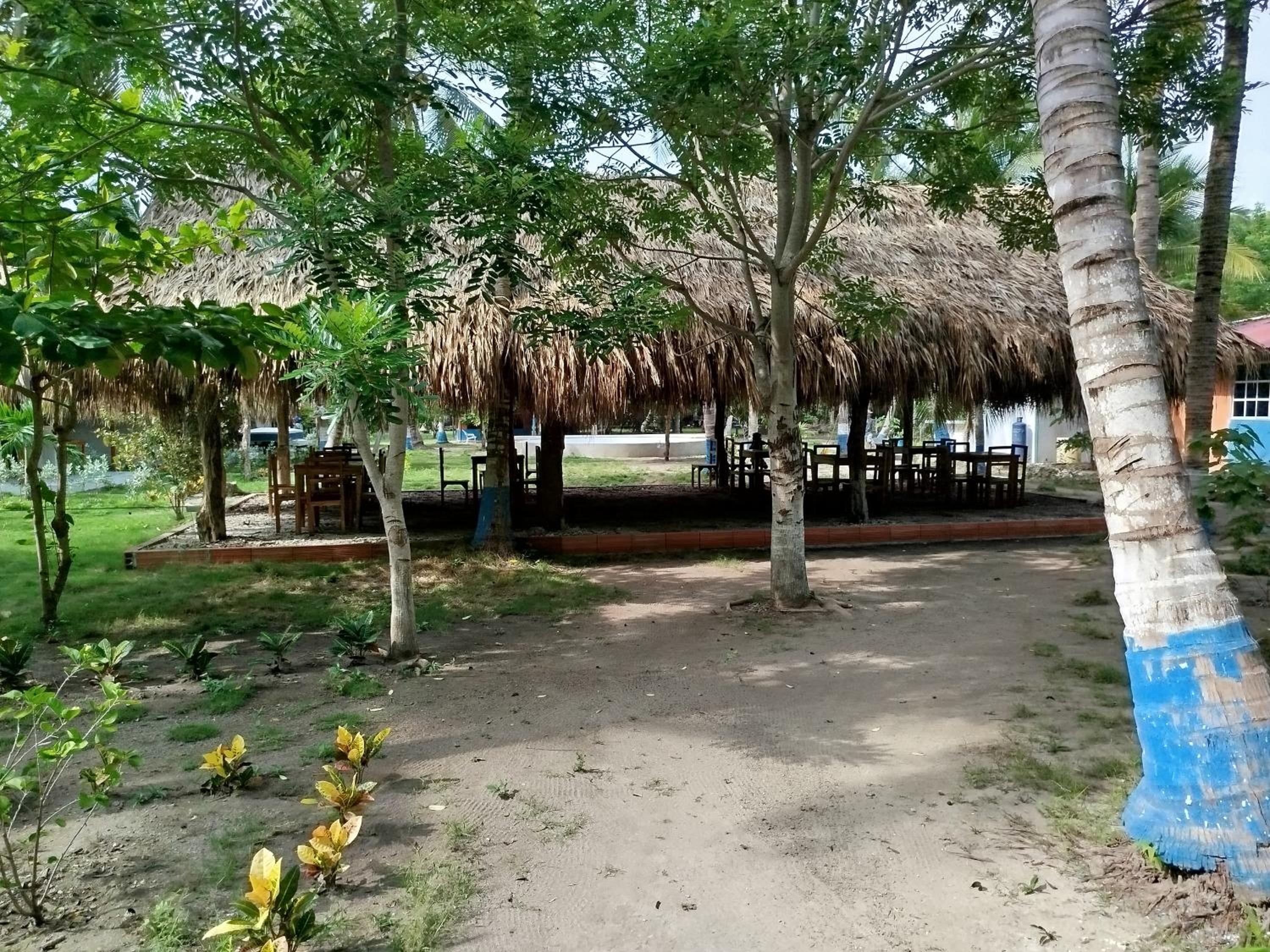 Deluxe Bungalow photo 3
