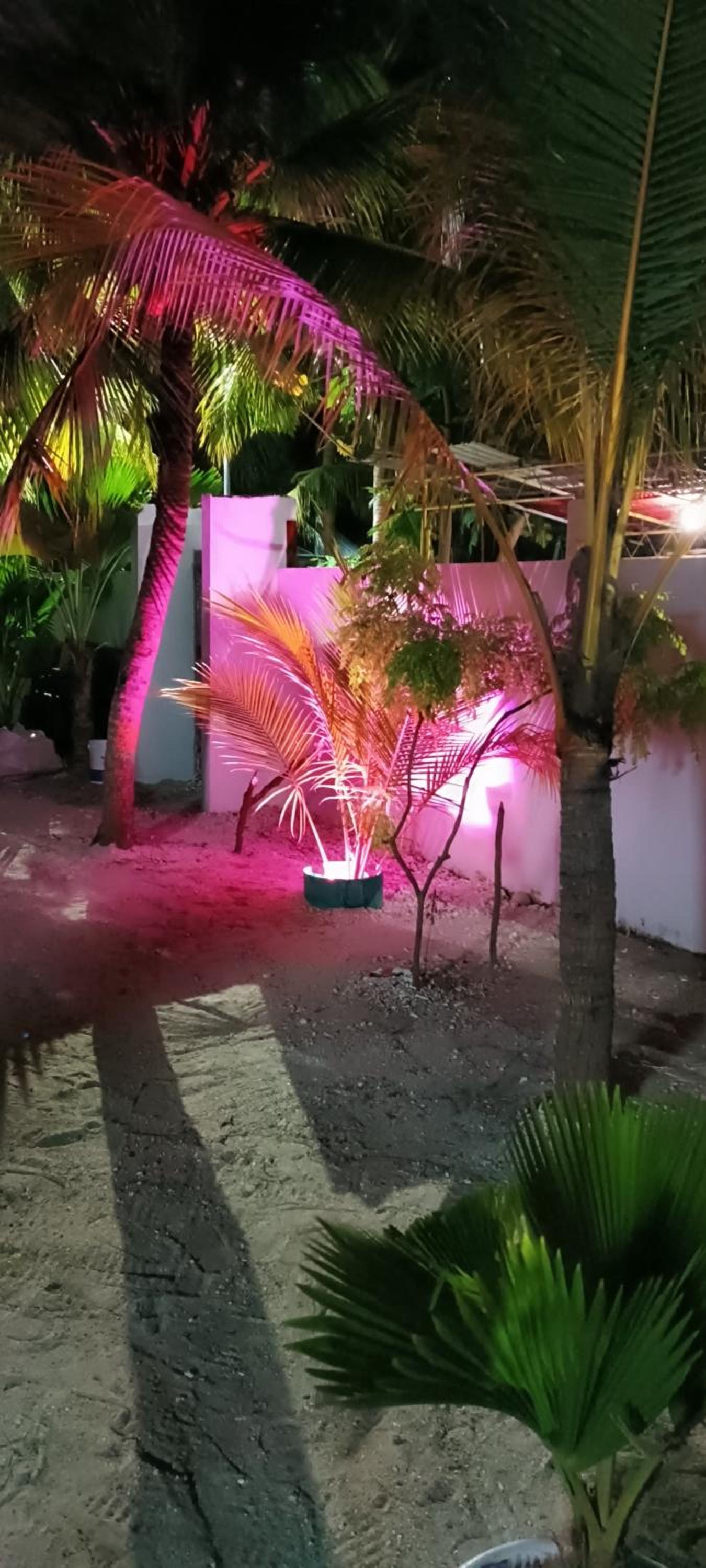 Deluxe Double or Twin Room with Garden View photo 3