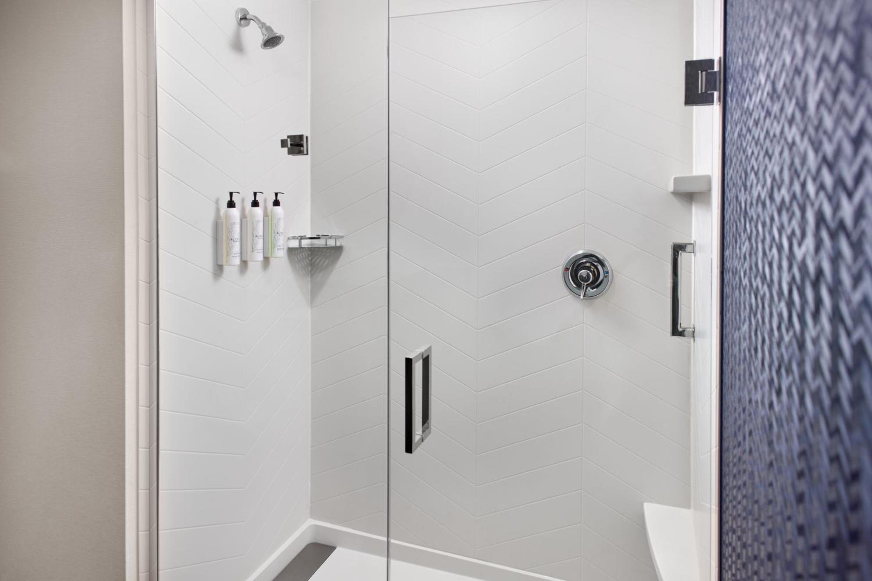 King Room with Roll-In Shower and City View - Mobility and Hearing Accessible photo 2