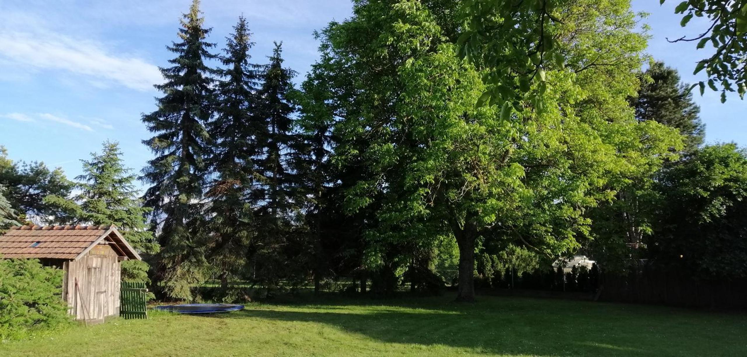 Villa - Photo 8