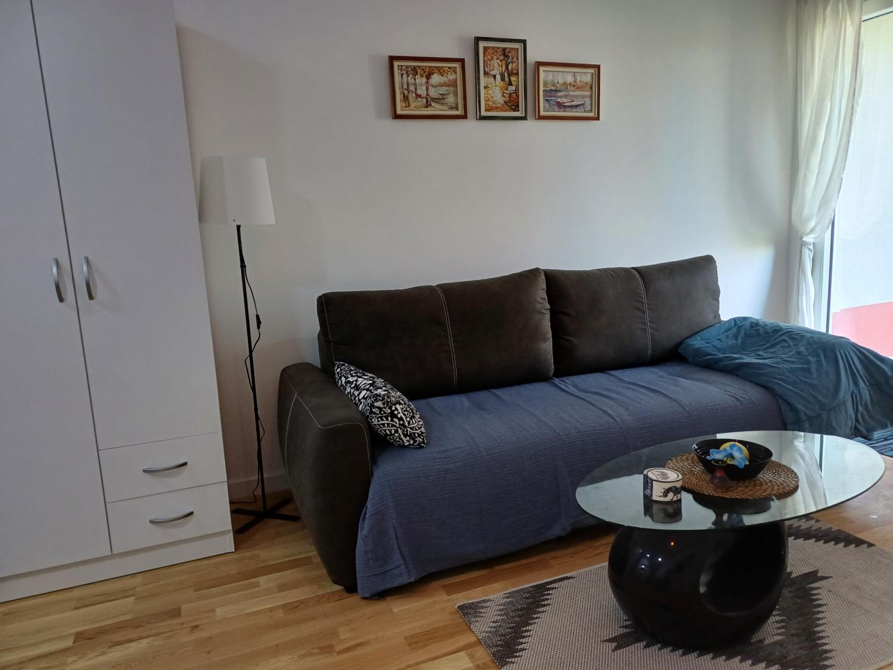 One-Bedroom Apartment photo 3