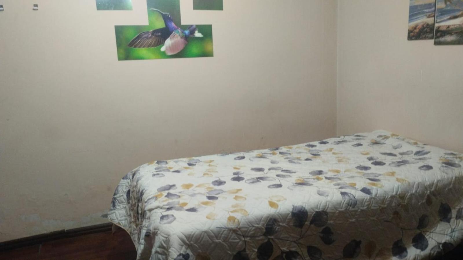 Budget Single Room photo 3
