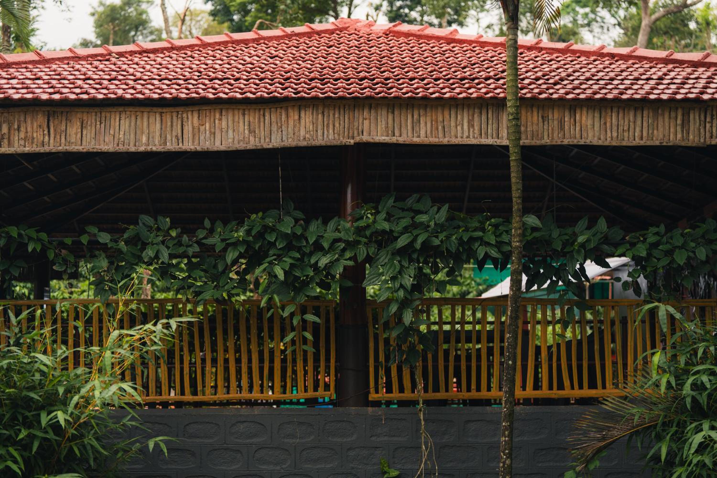 Triple Room With Garden View photo 2