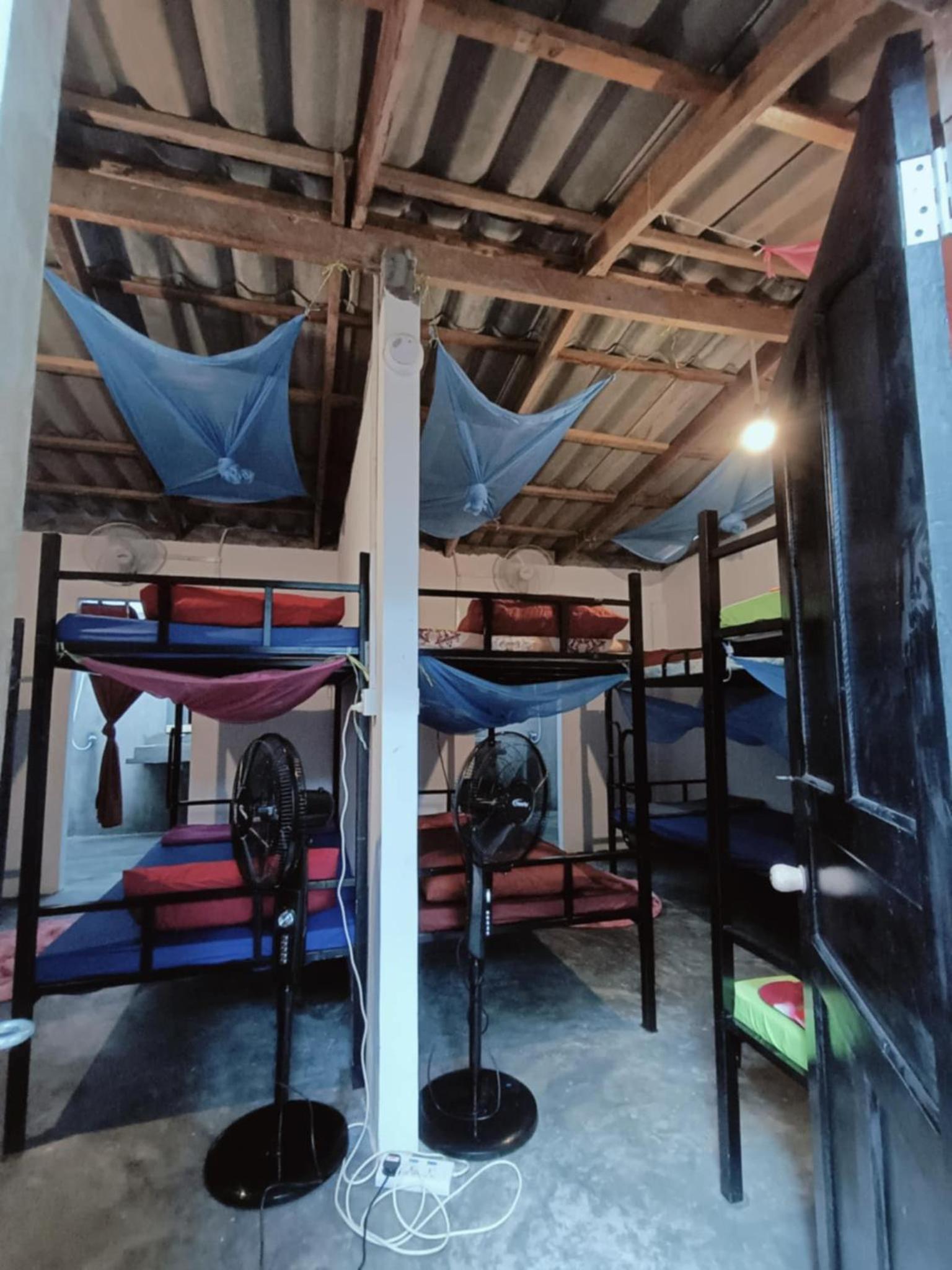 Single Bed in Female Dormitory Room photo 1