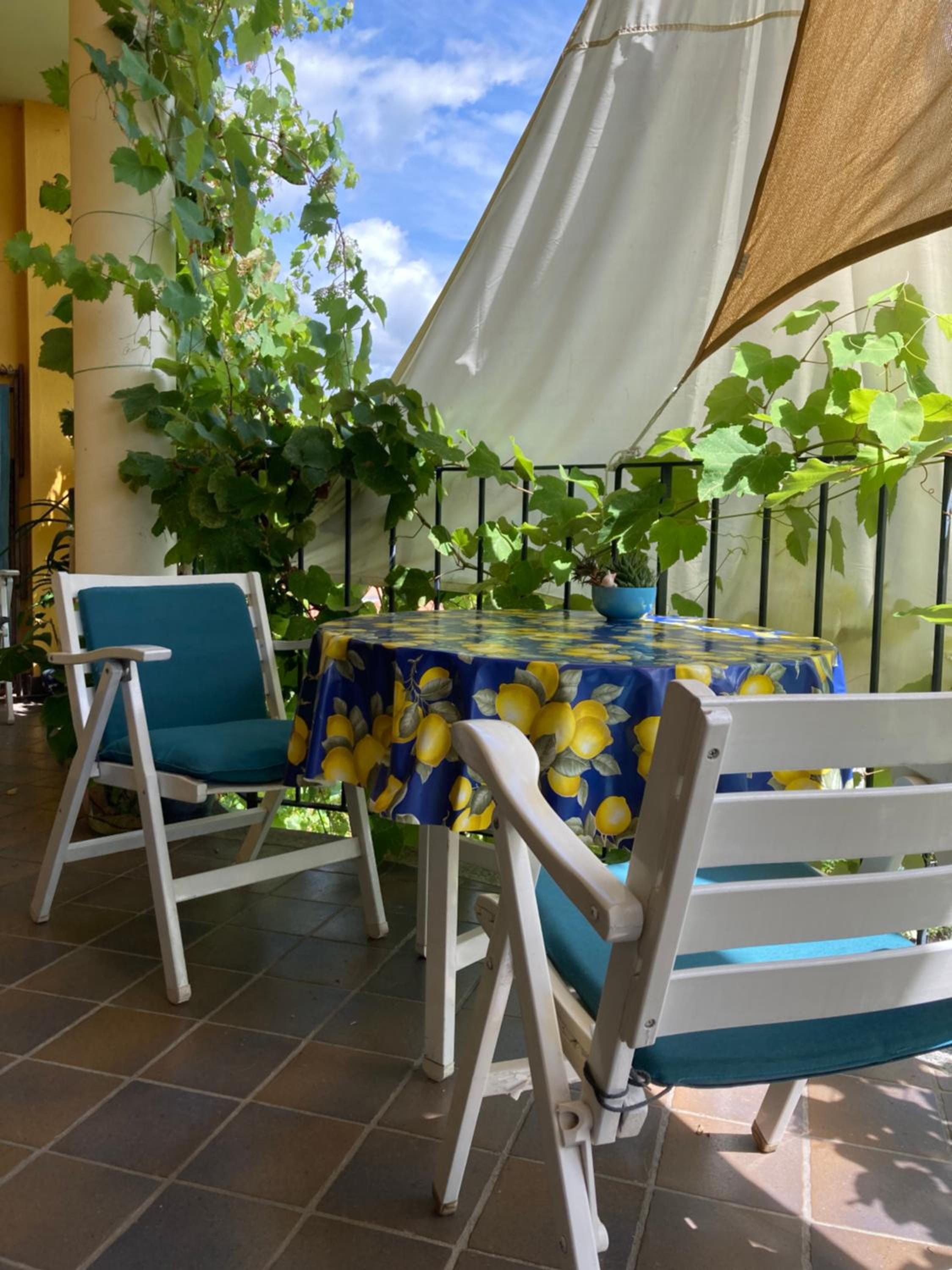 Double Room with Garden View photo 3