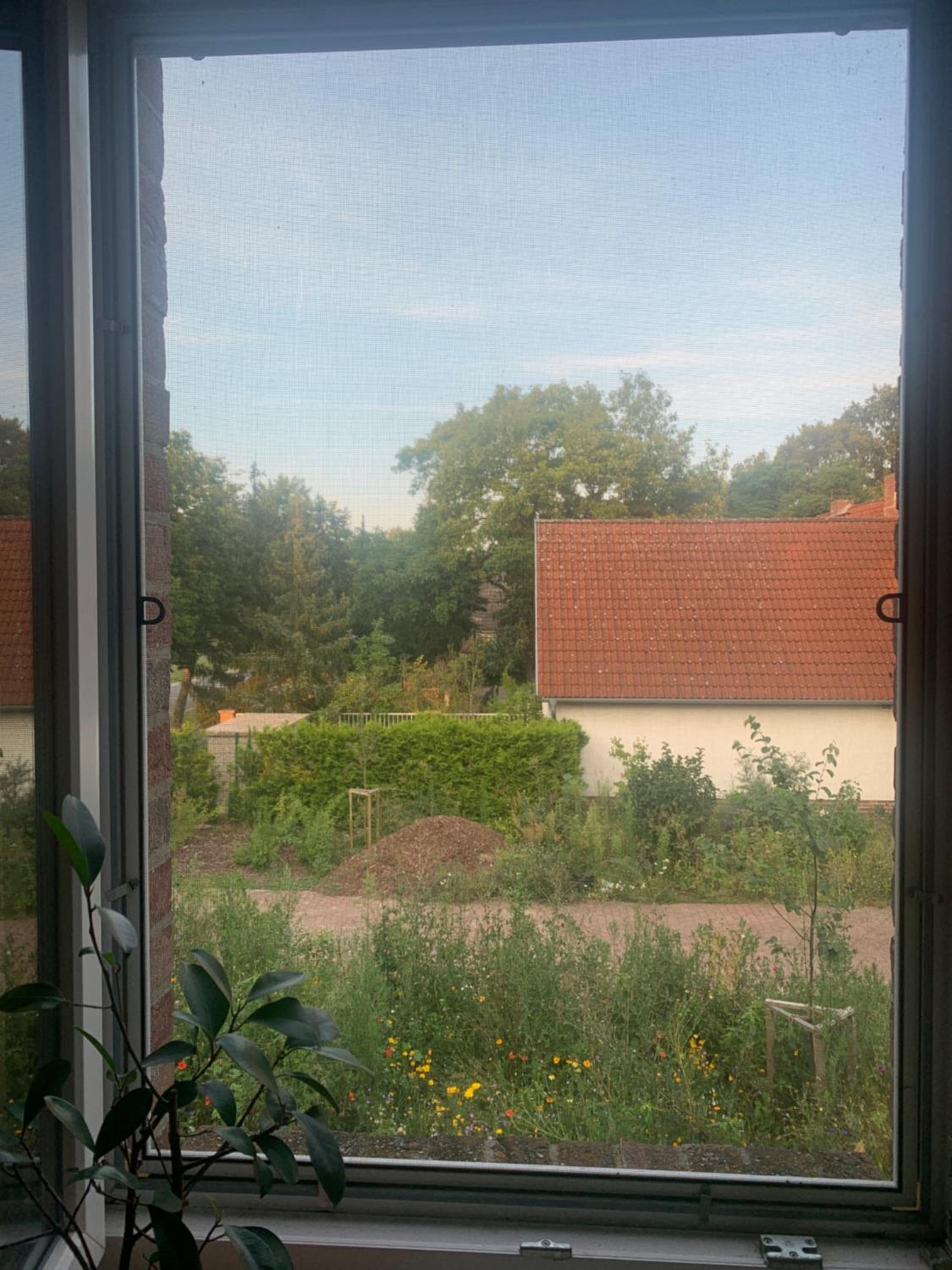 Double Room with Garden View photo 3