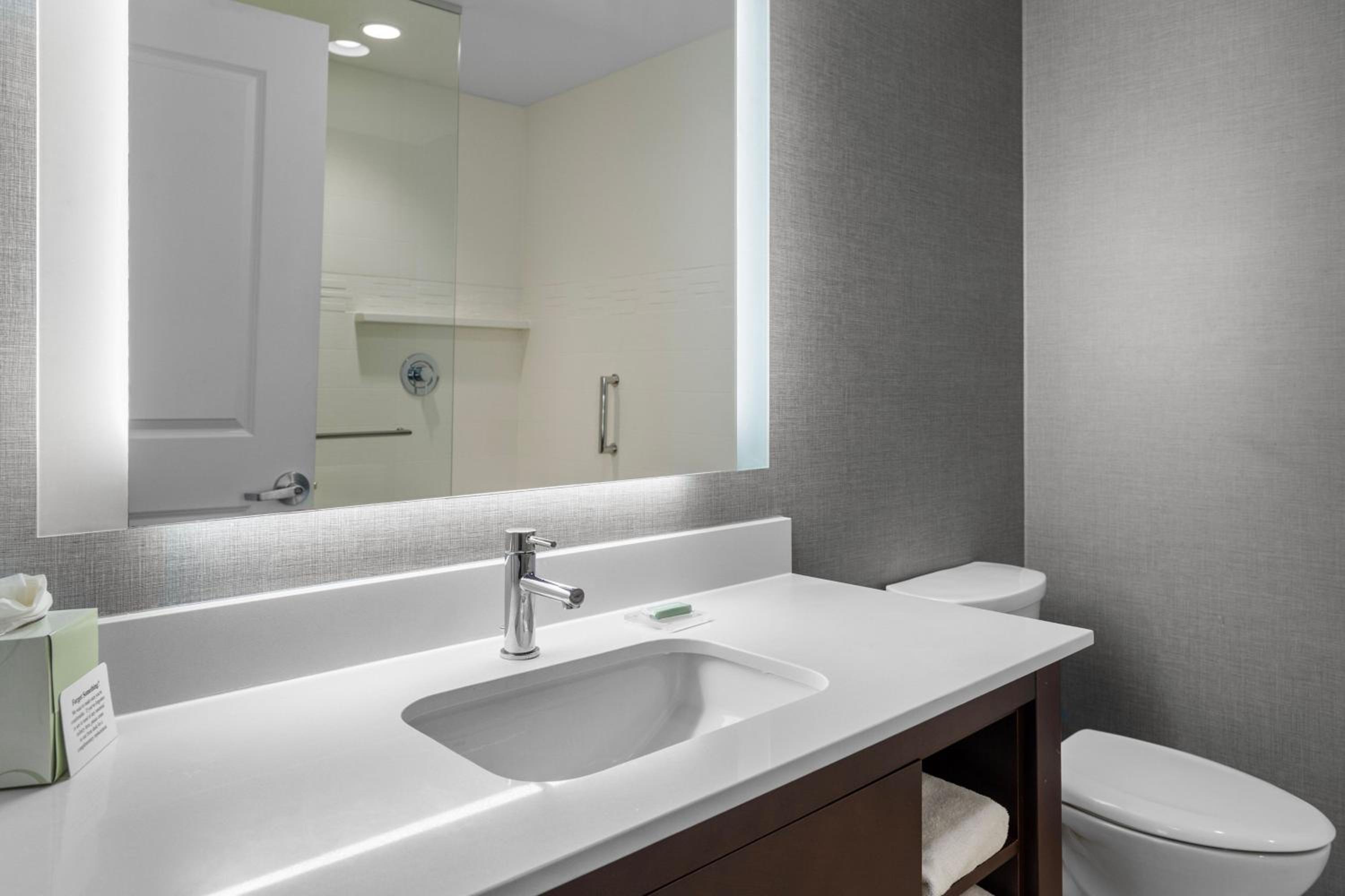 Studio King Room with Non-Private Sofa Bed and Roll-In Shower - Mobility/Hearing Accessible photo 2