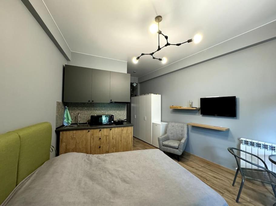 One-Bedroom Apartment photo 3