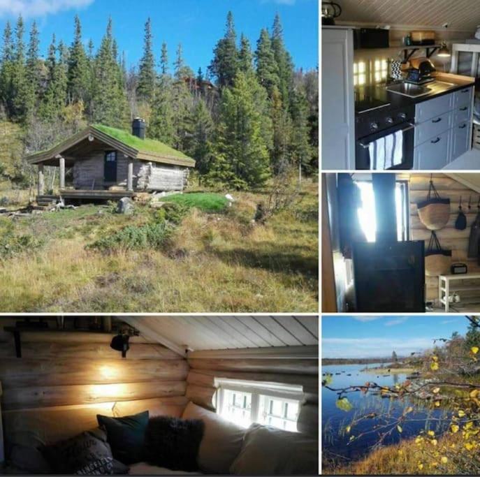 One-Bedroom House photo 1