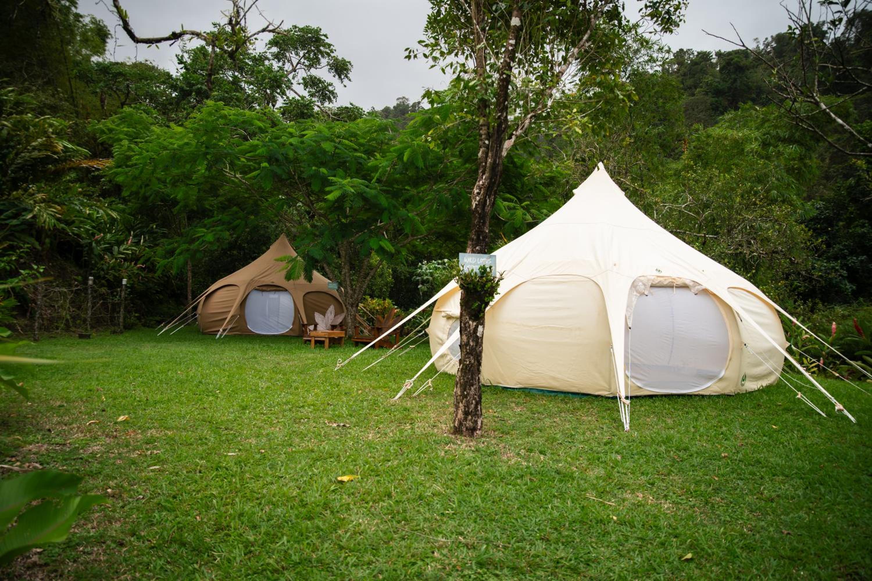 Tent photo 2