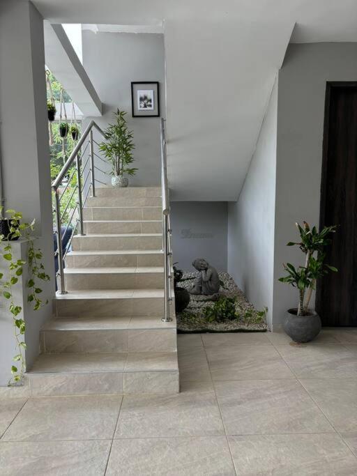 Deluxe Villa photo 2