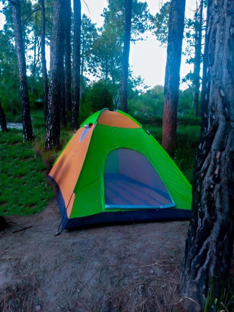 Tent photo 3