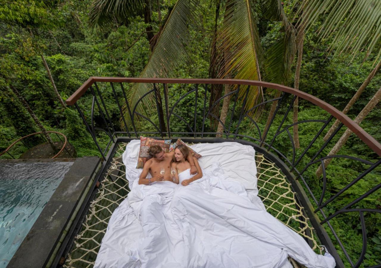 One Bedroom Pool Villa with Hammock photo 3