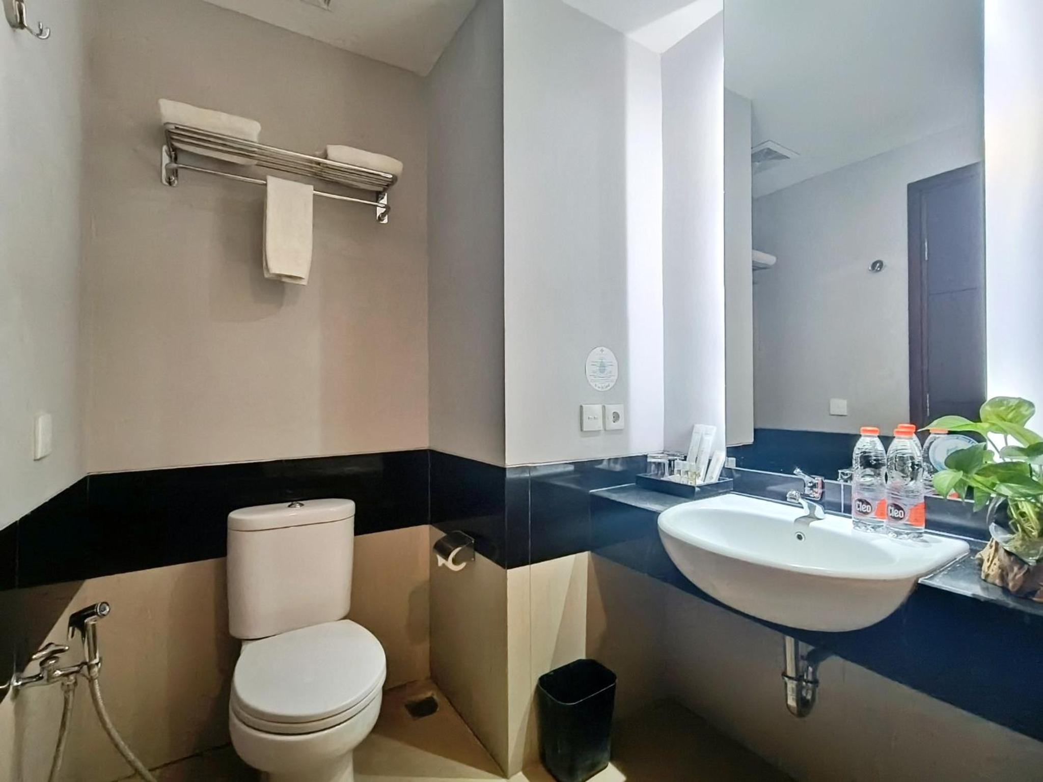 Deluxe Double Room photo 2