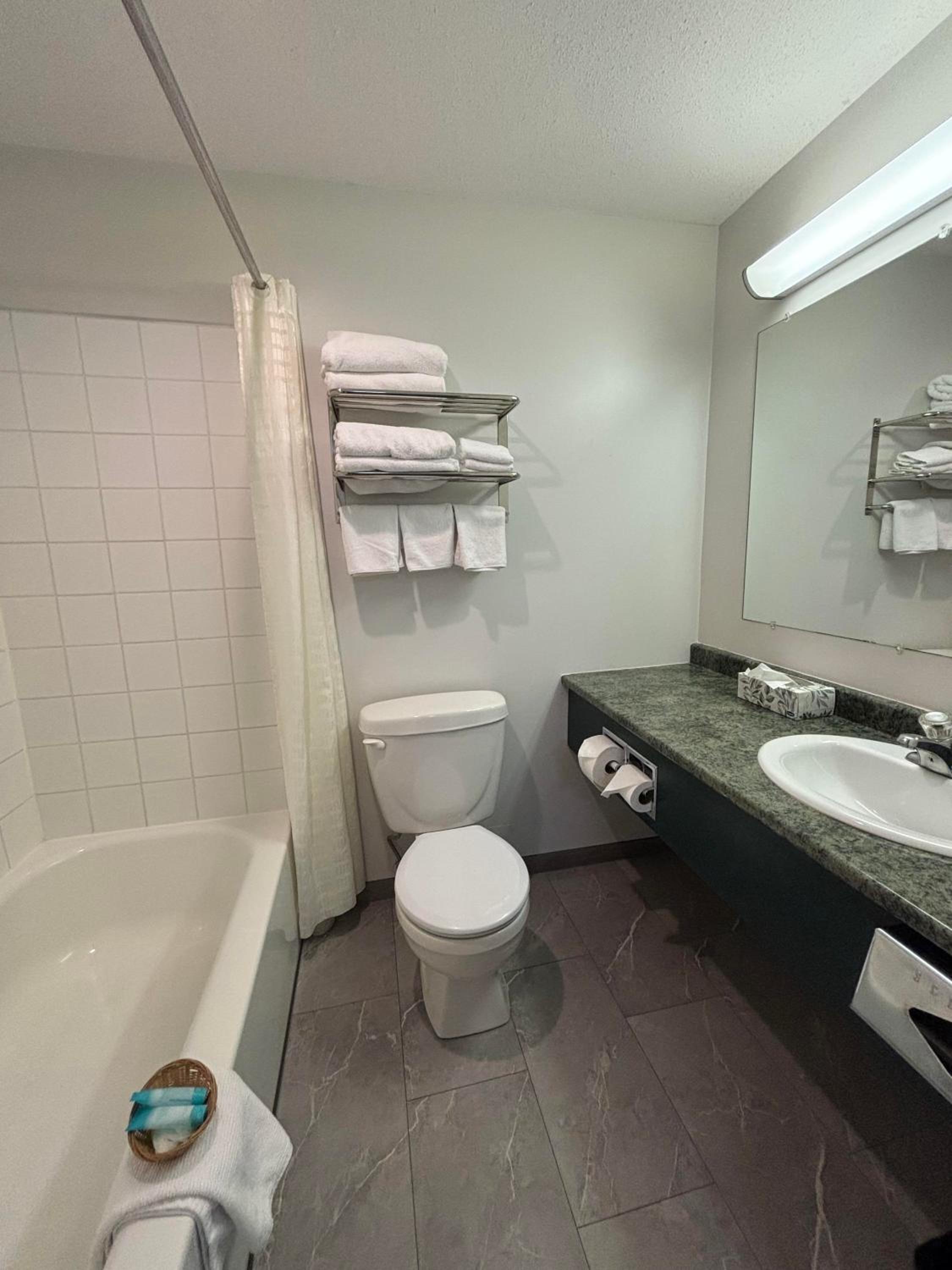 One-Bedroom Suite photo 3