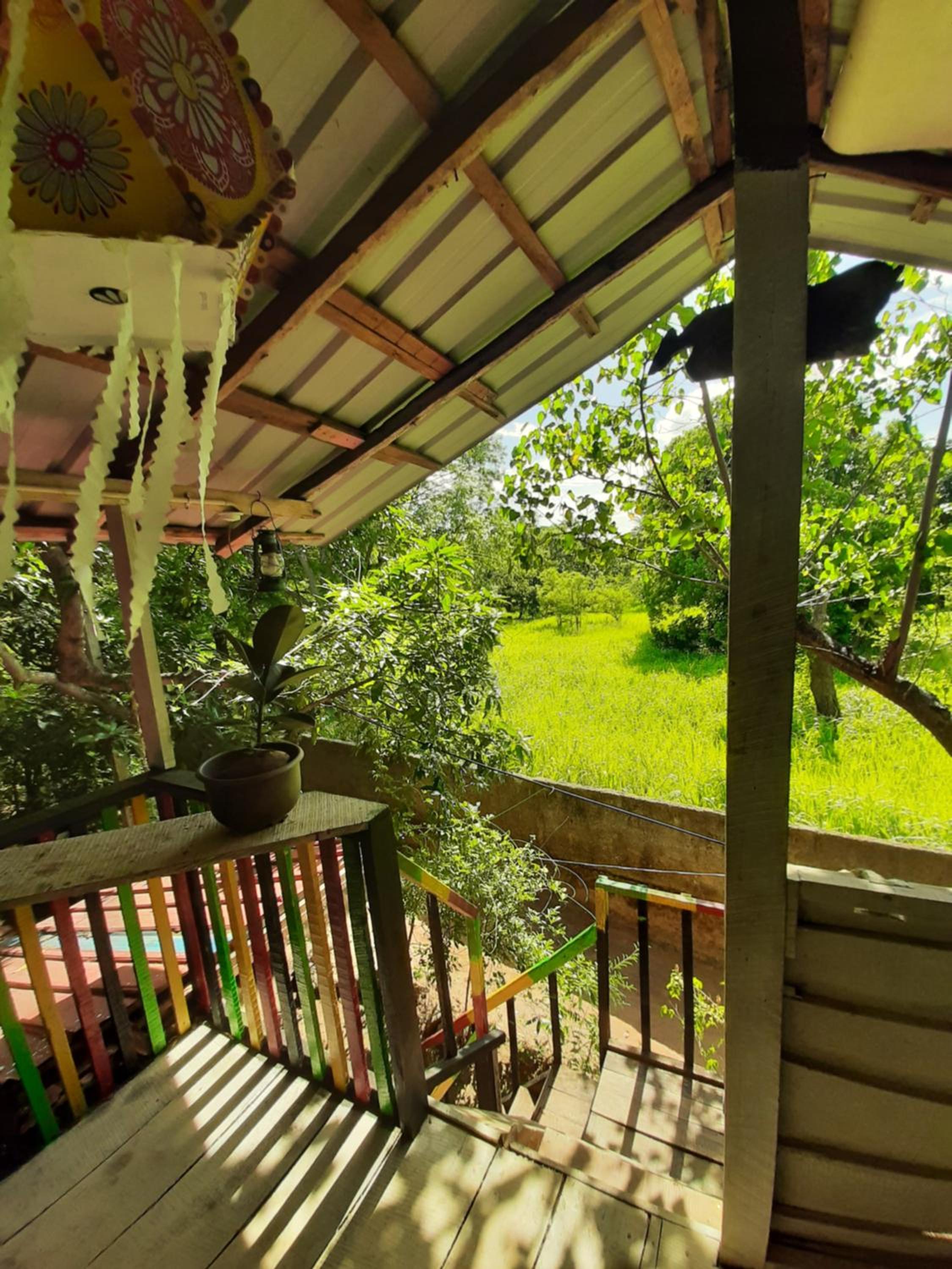Double Room with Terrace photo 2