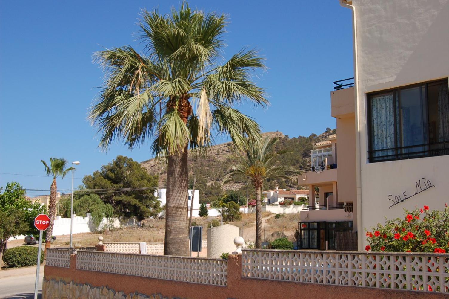 Apartment with Sea View photo 2