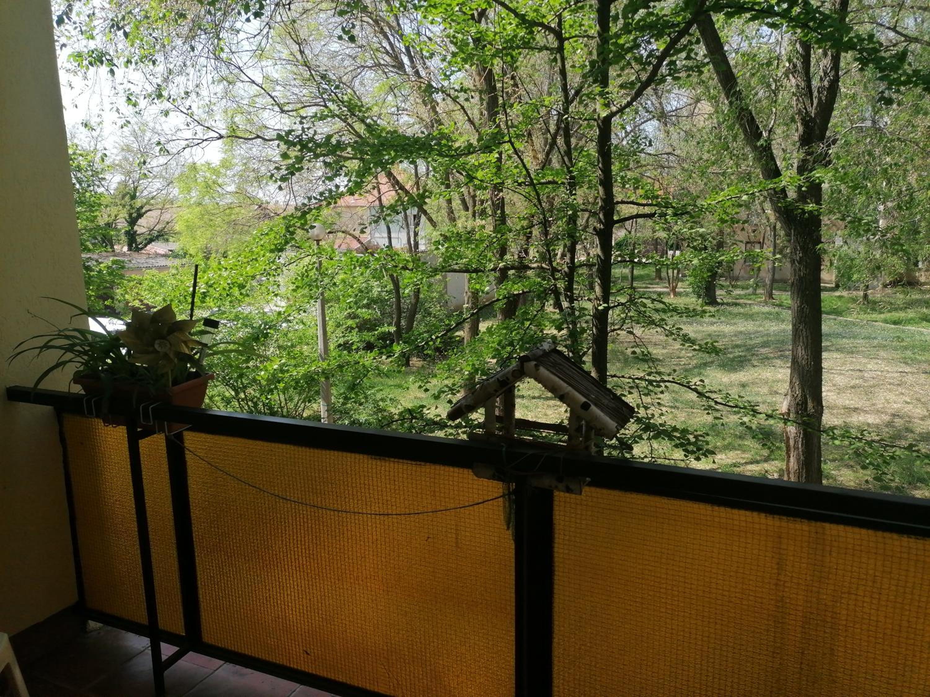 Apartment - Photo 5