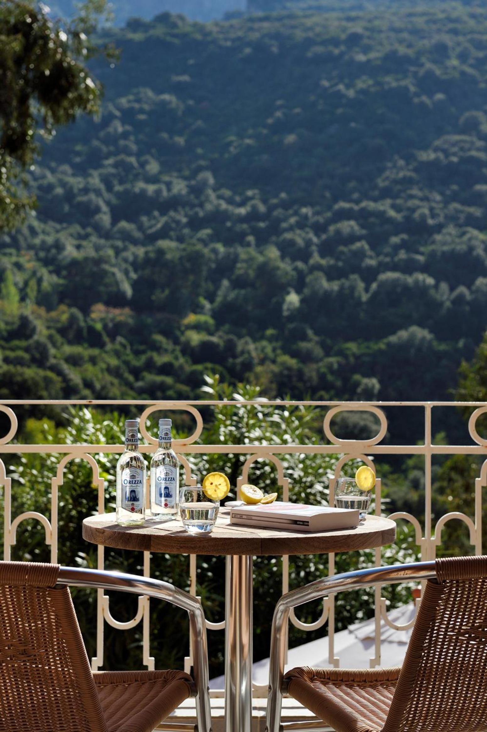 Deluxe Double Room with Terrace photo 3