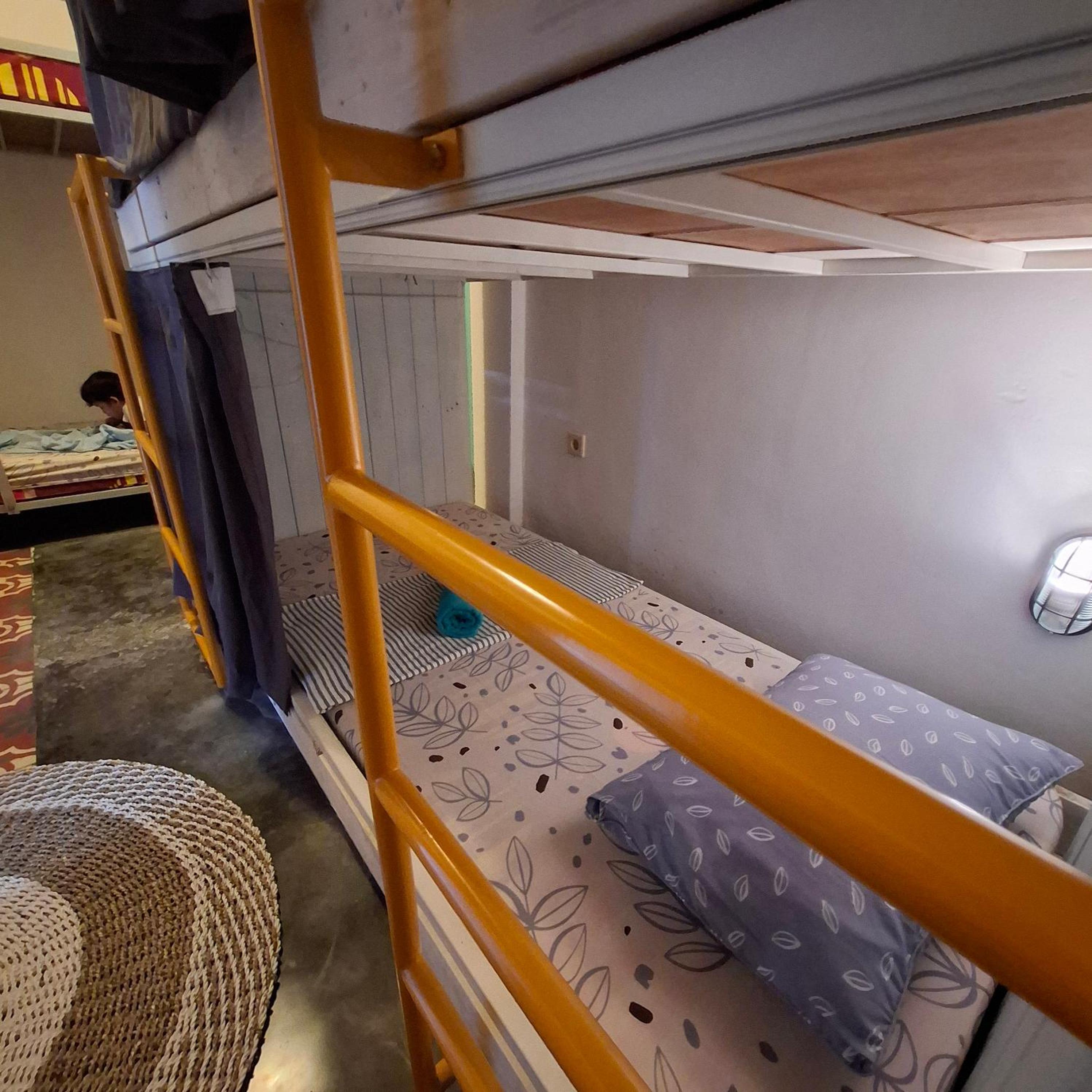 Single Bed in Mixed Dormitory Room photo 3