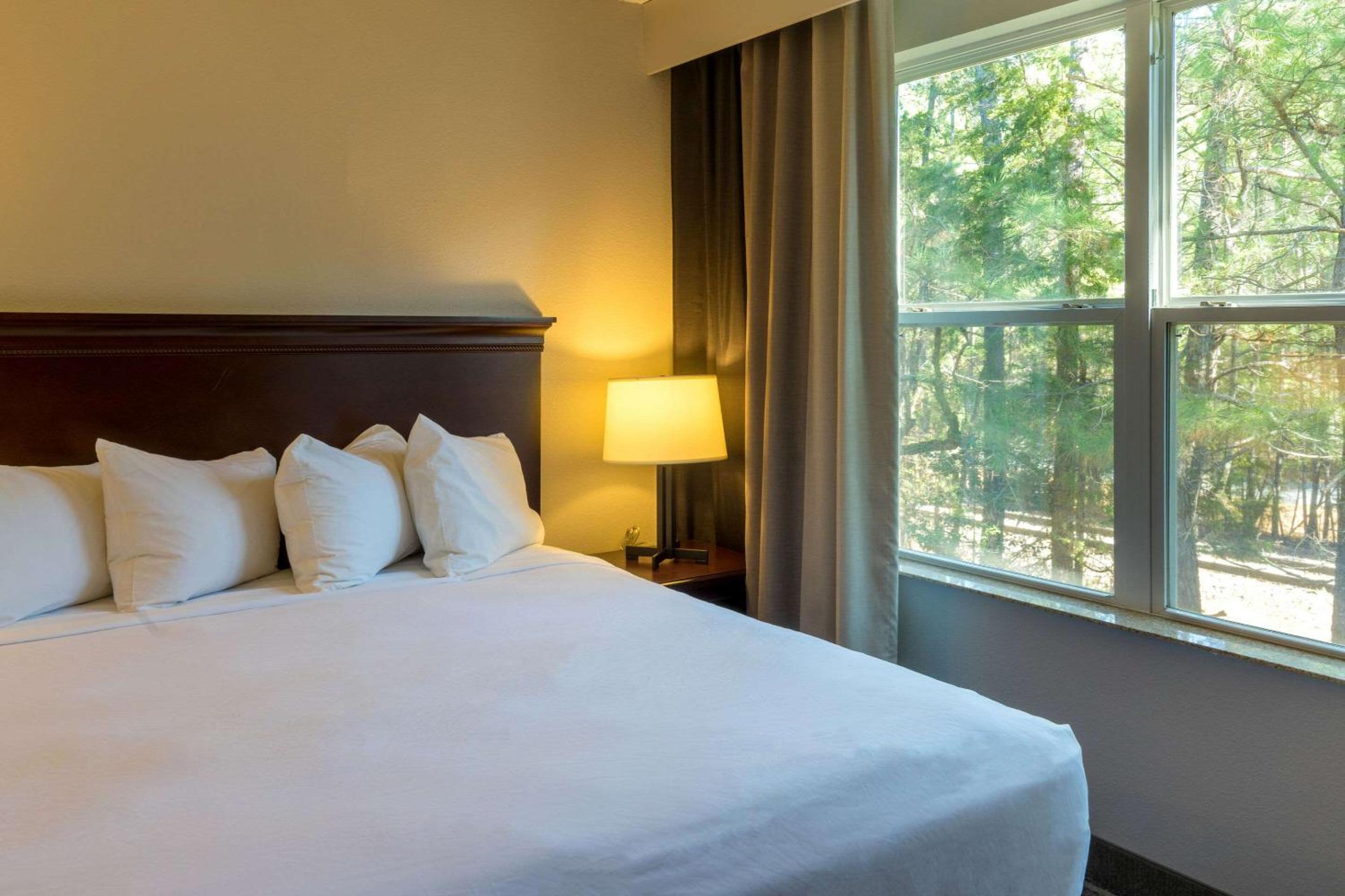One Bedroom King Suite - Non Smoking  - Photo 1