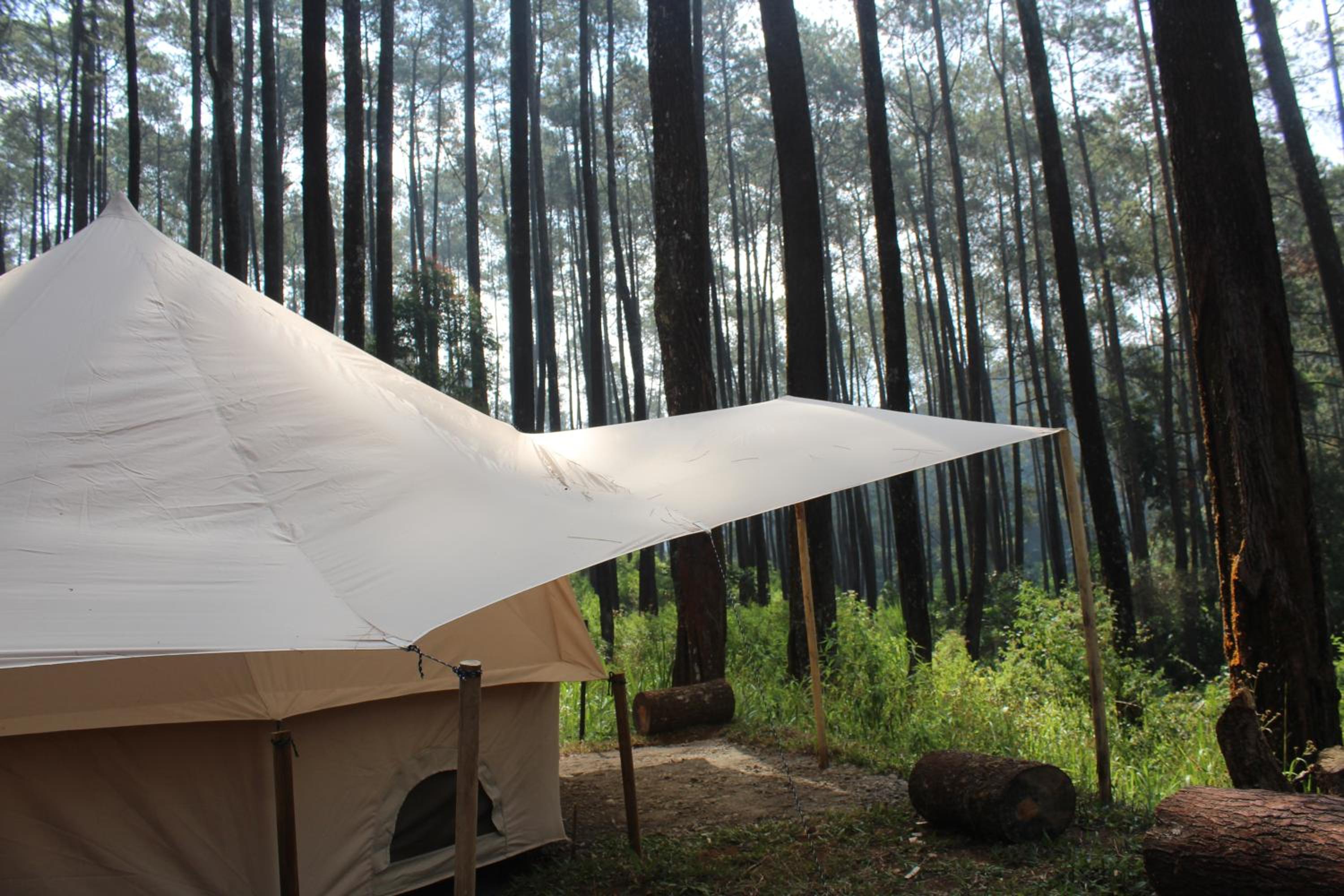 Tent photo 3