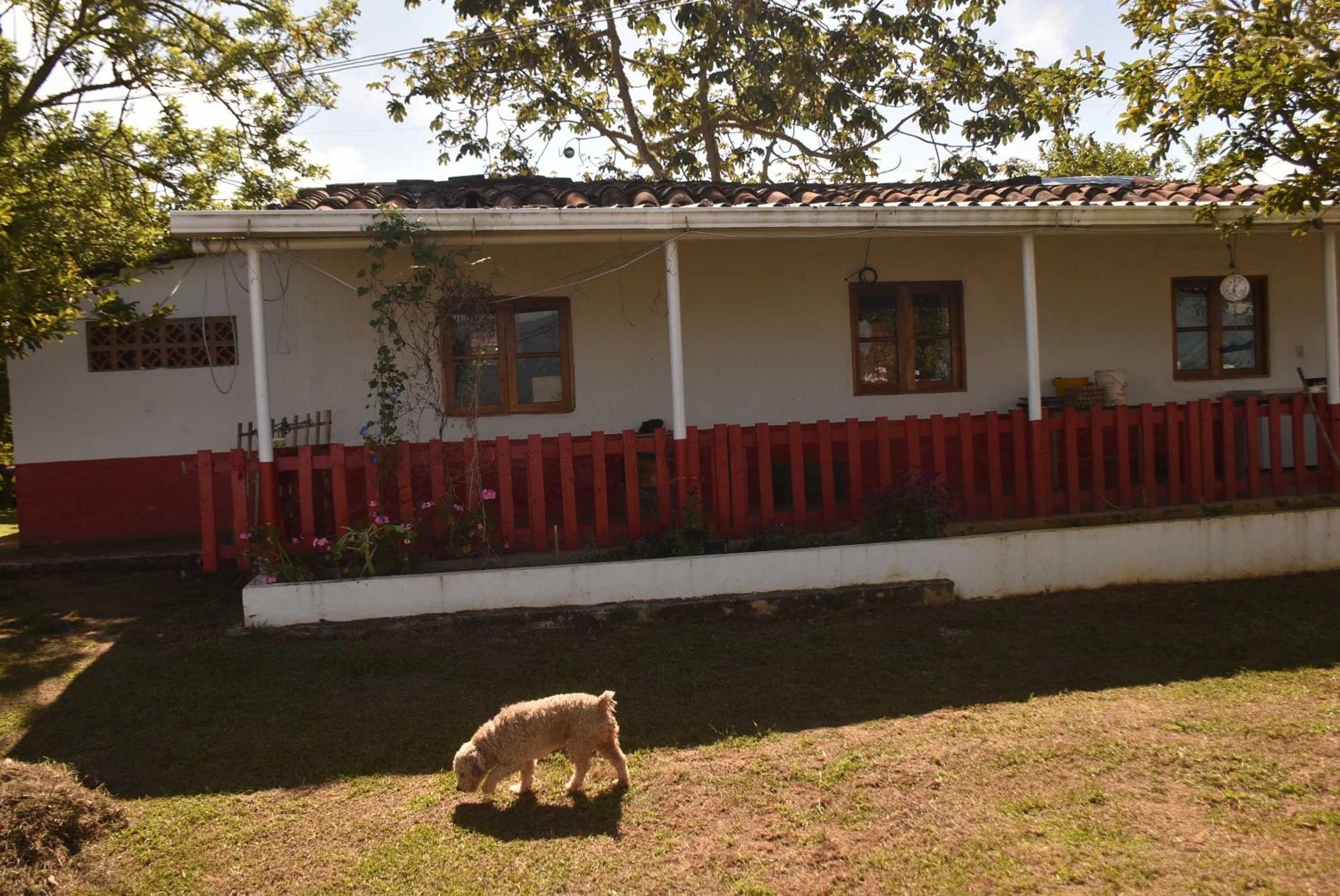 Superior Chalet photo 3