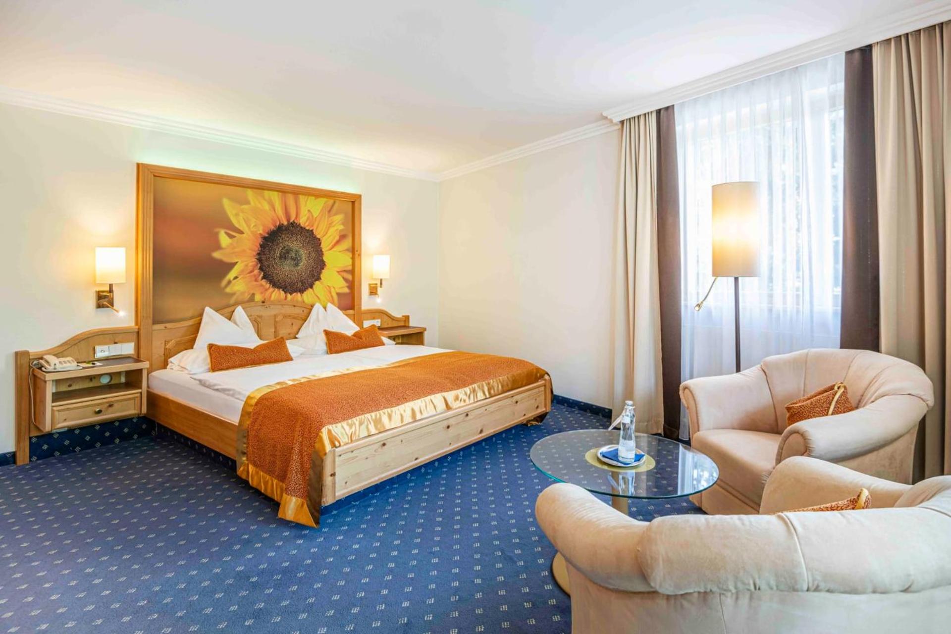 Double Room with Mountain View photo 1