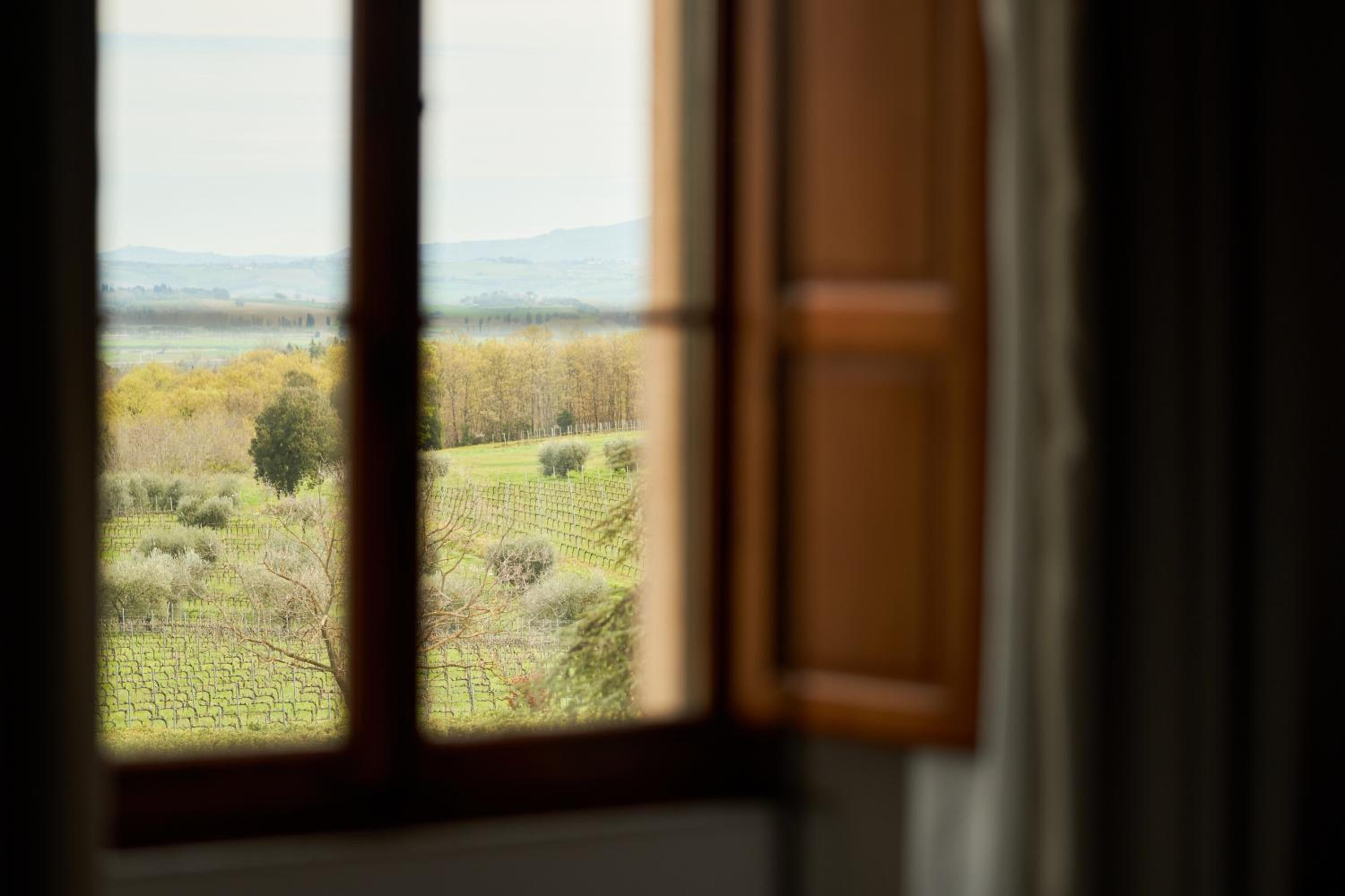 Aurelia Suite - Photo 4