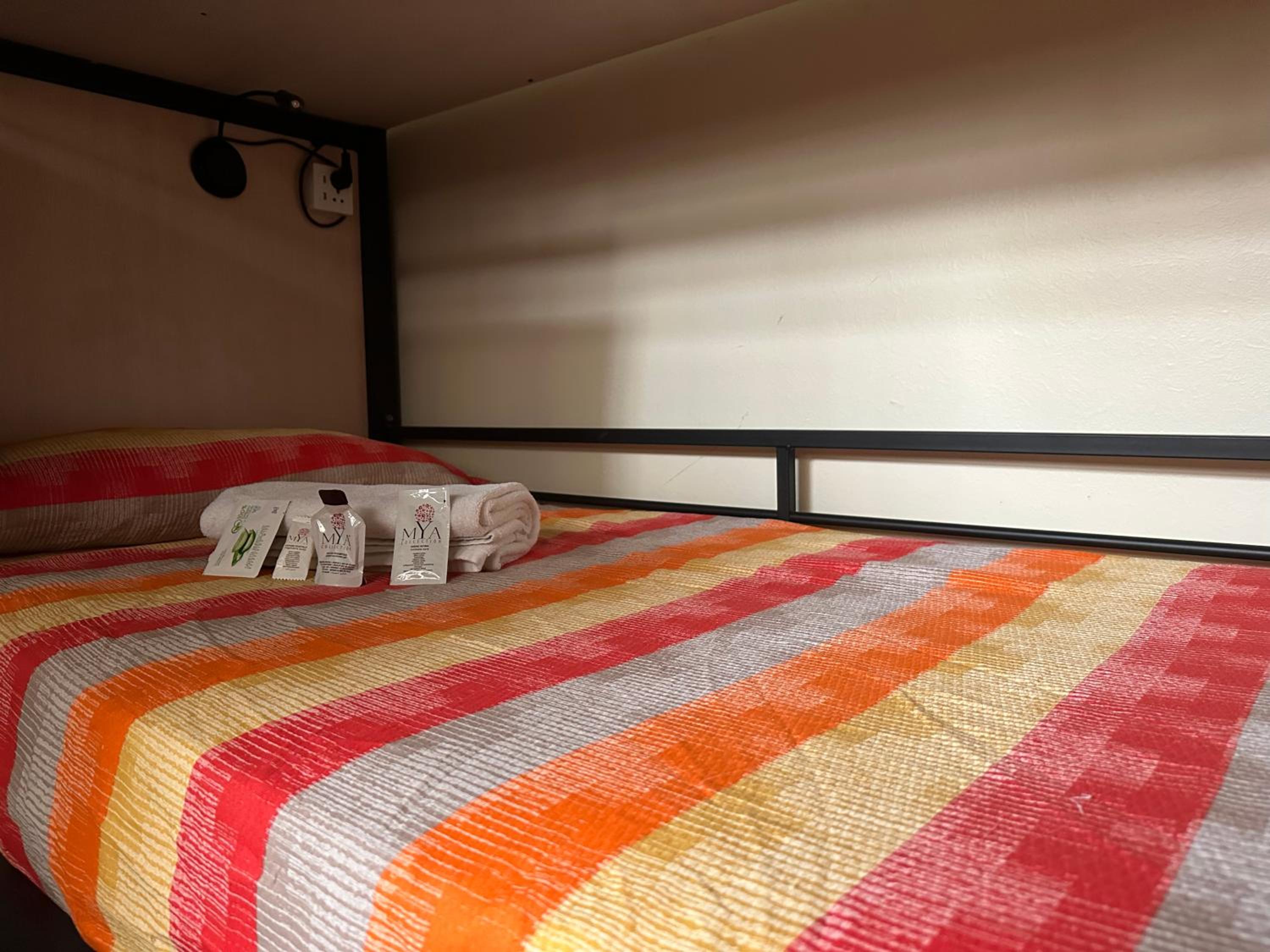 Bunk Bed in Mixed Dormitory Room
